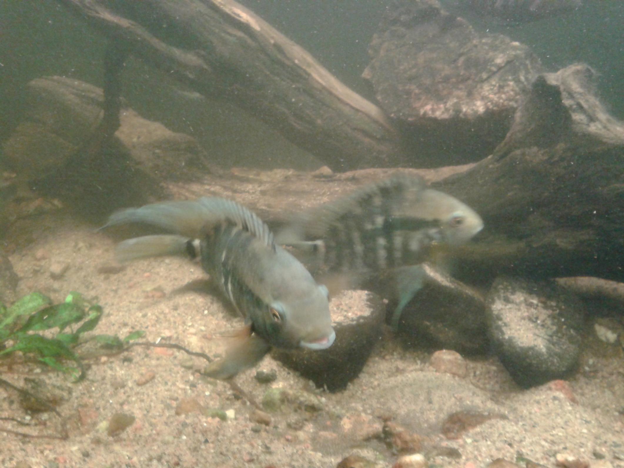 20131114_133052.jpg