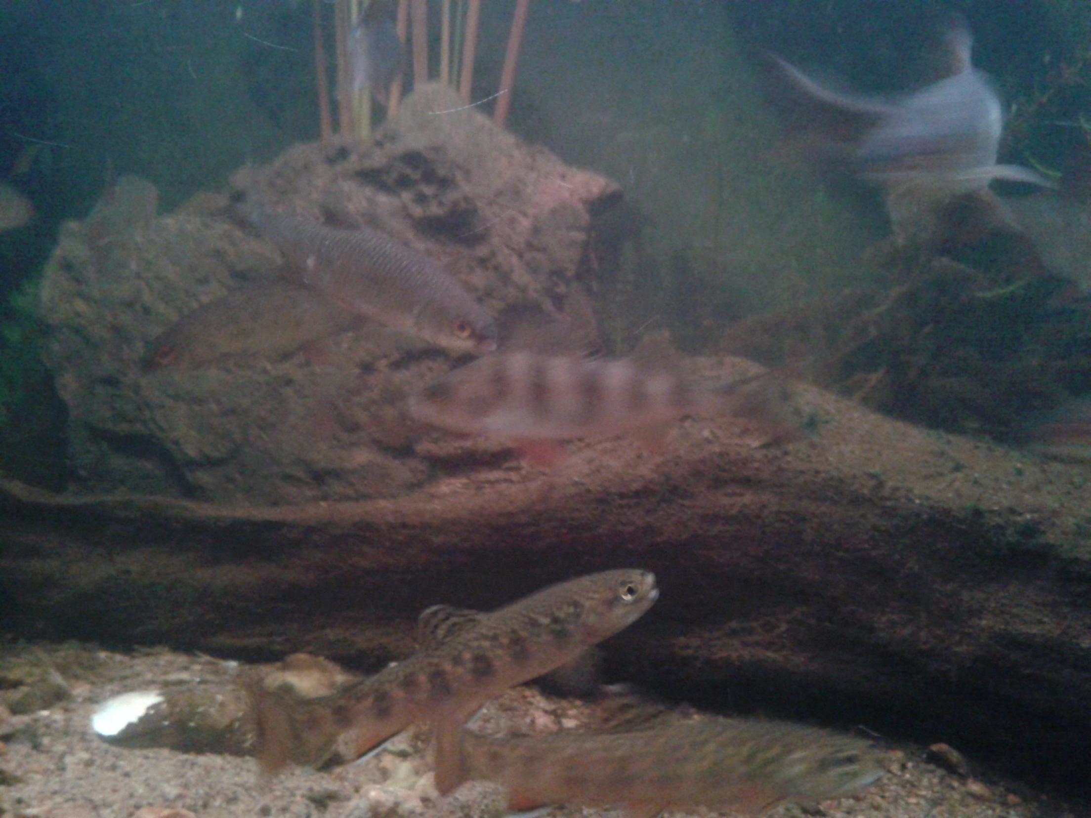 20130817_223601.jpg