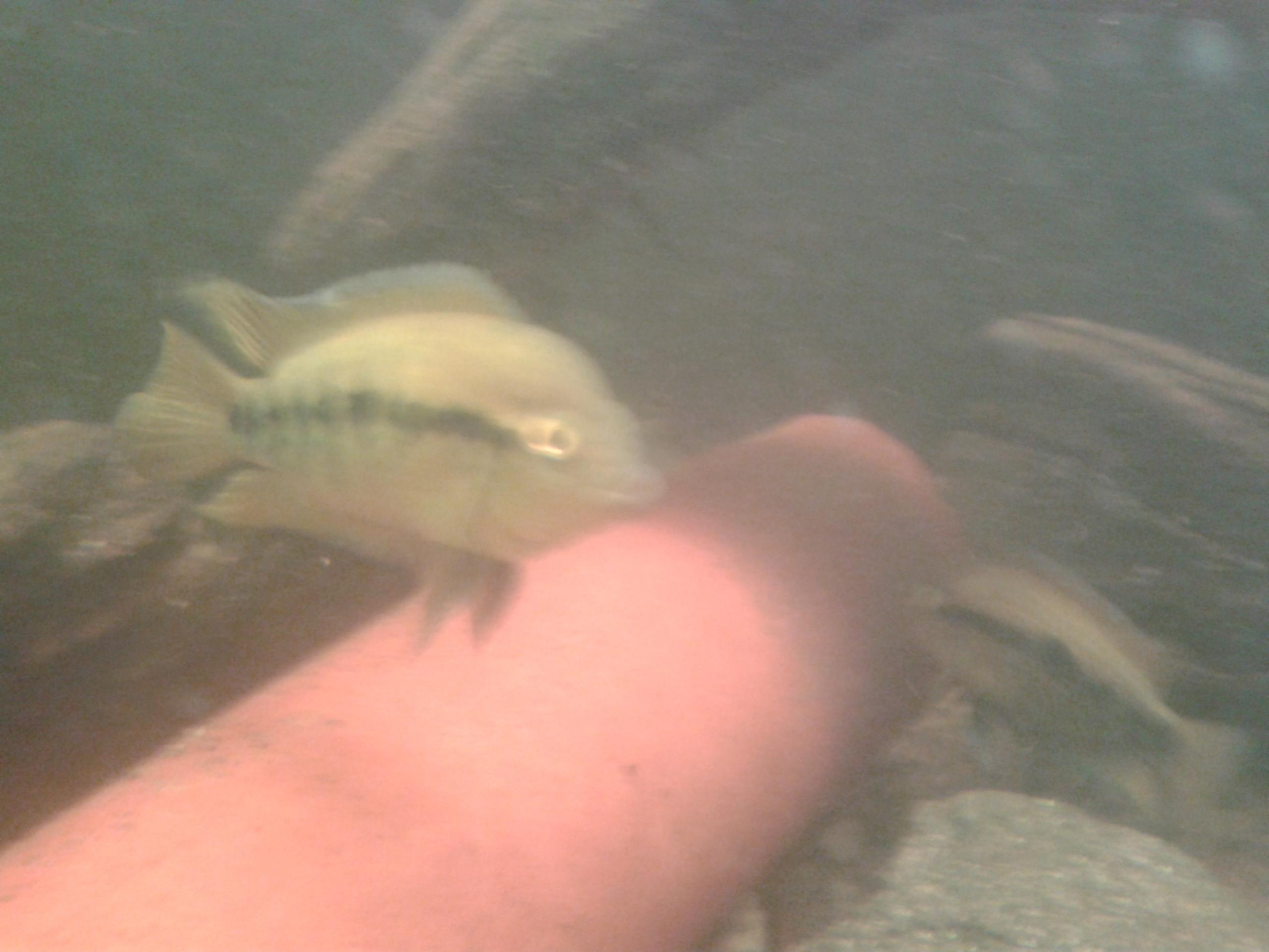 20131114_133147.jpg