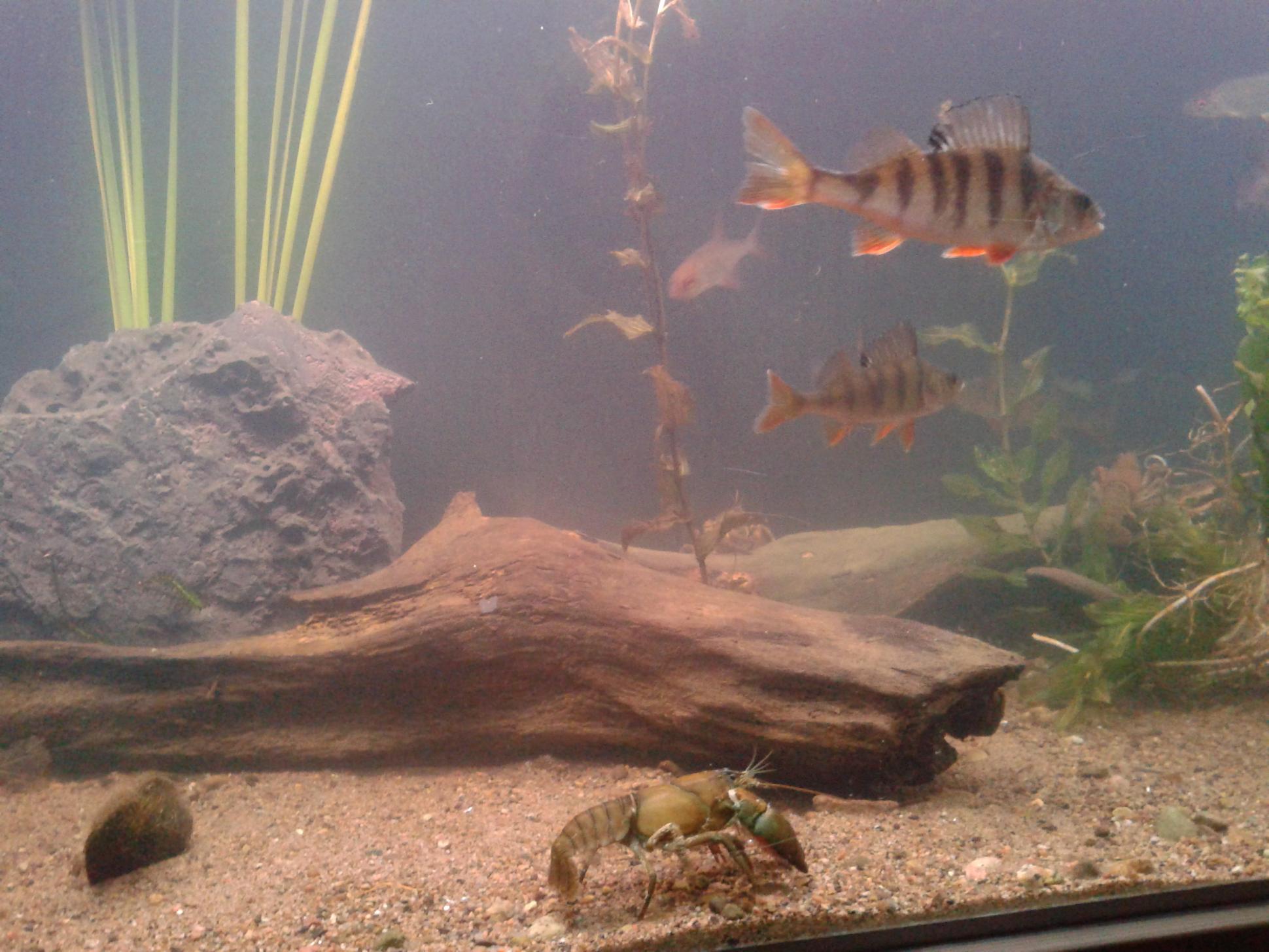 20130721_221623.jpg