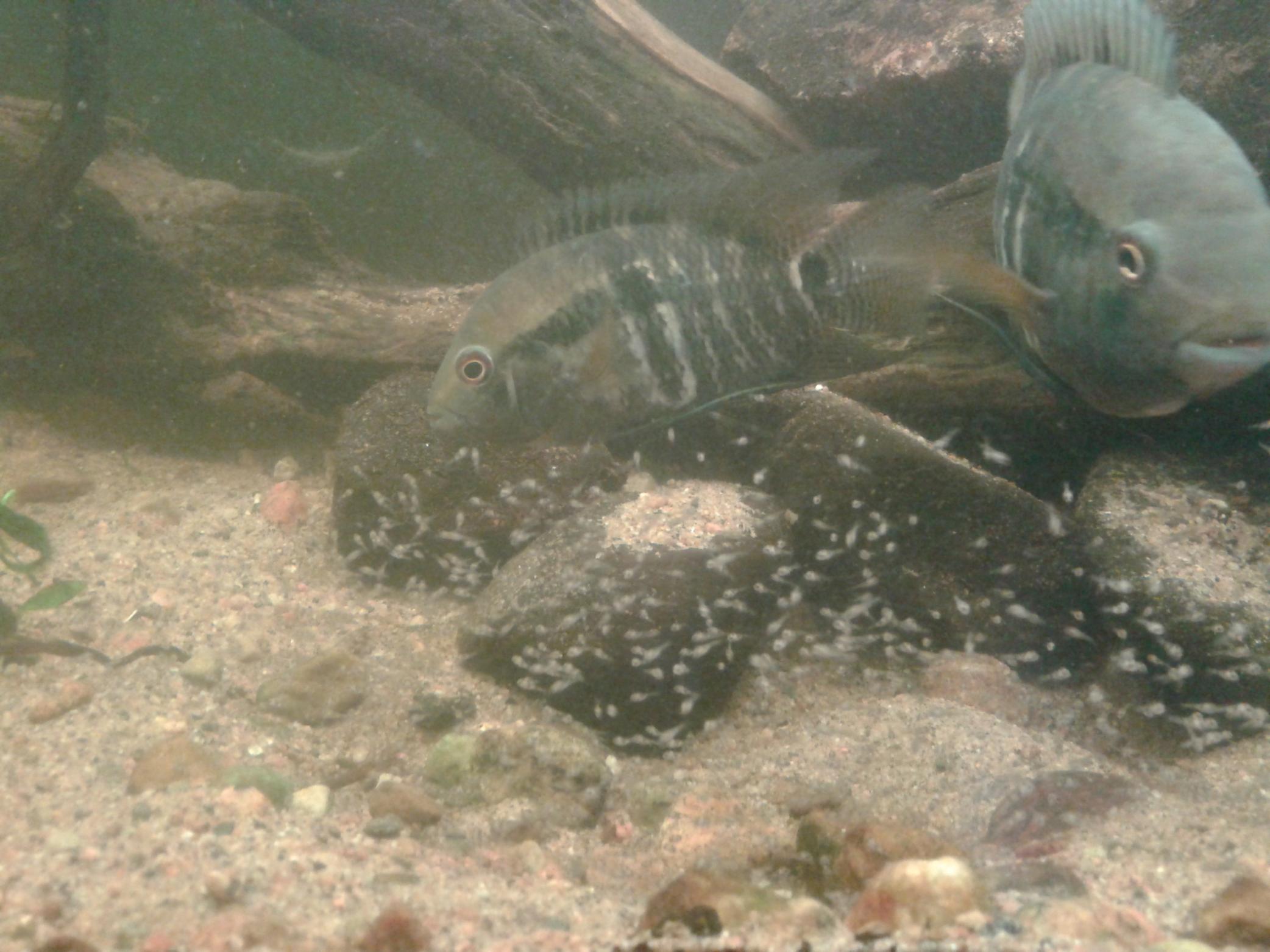 20131114_141703.jpg