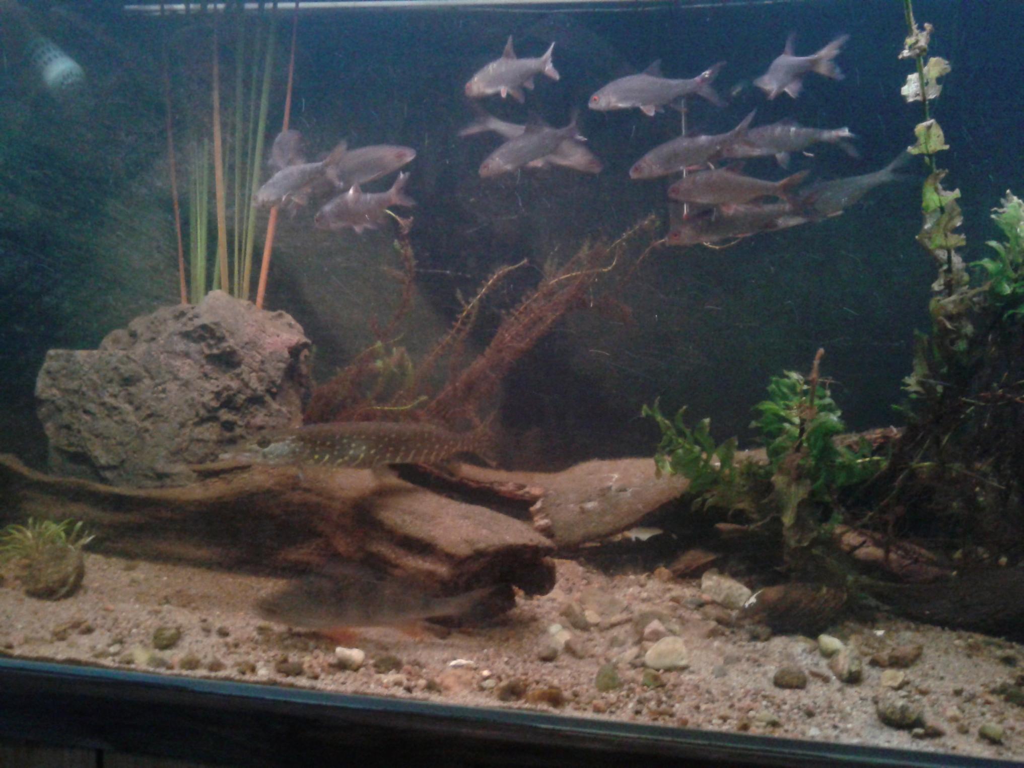 20130807_205959.jpg