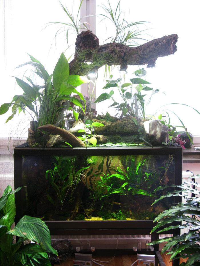 akvariet20100222-1.jpg