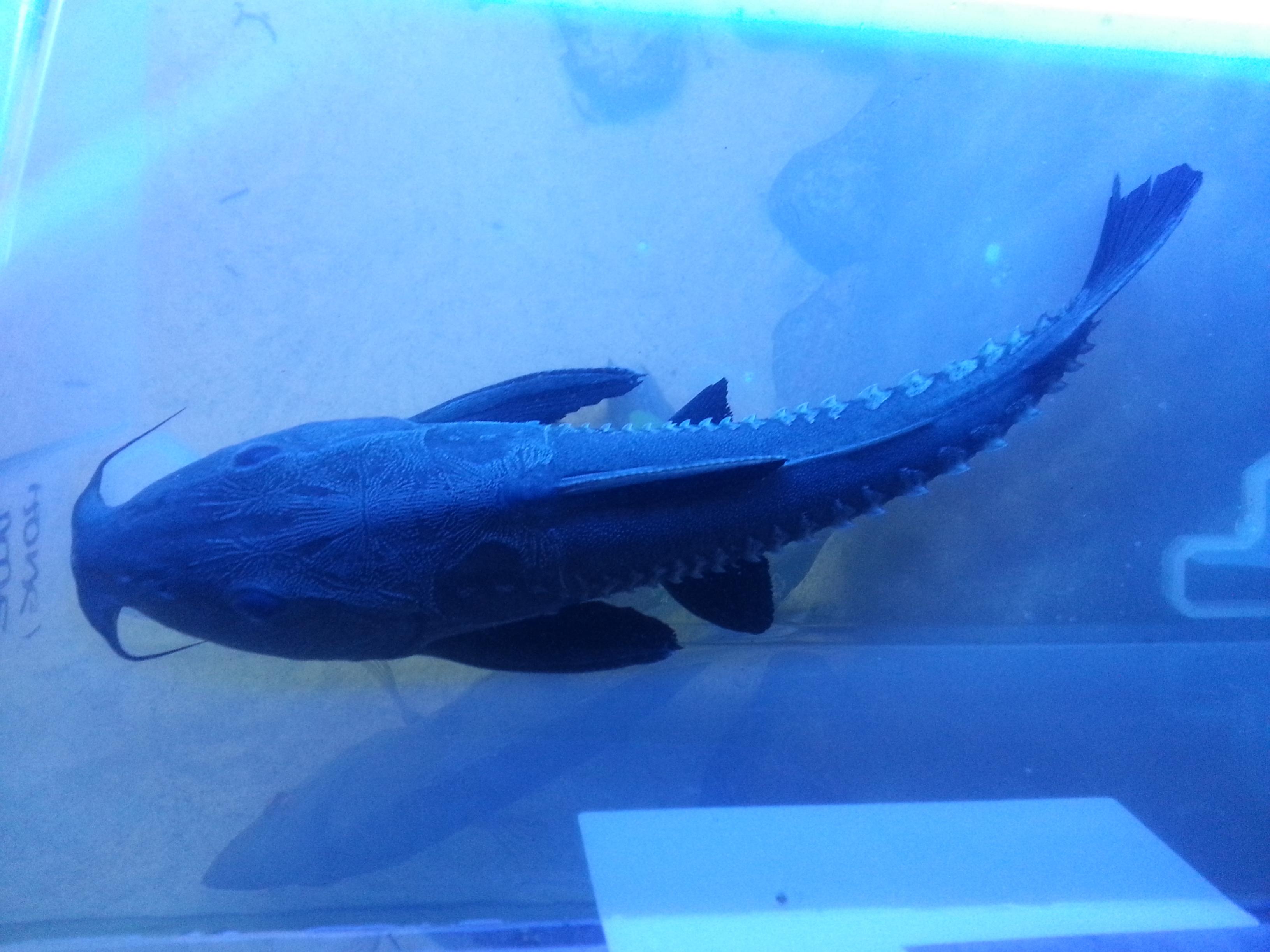 20130615_152019.jpg