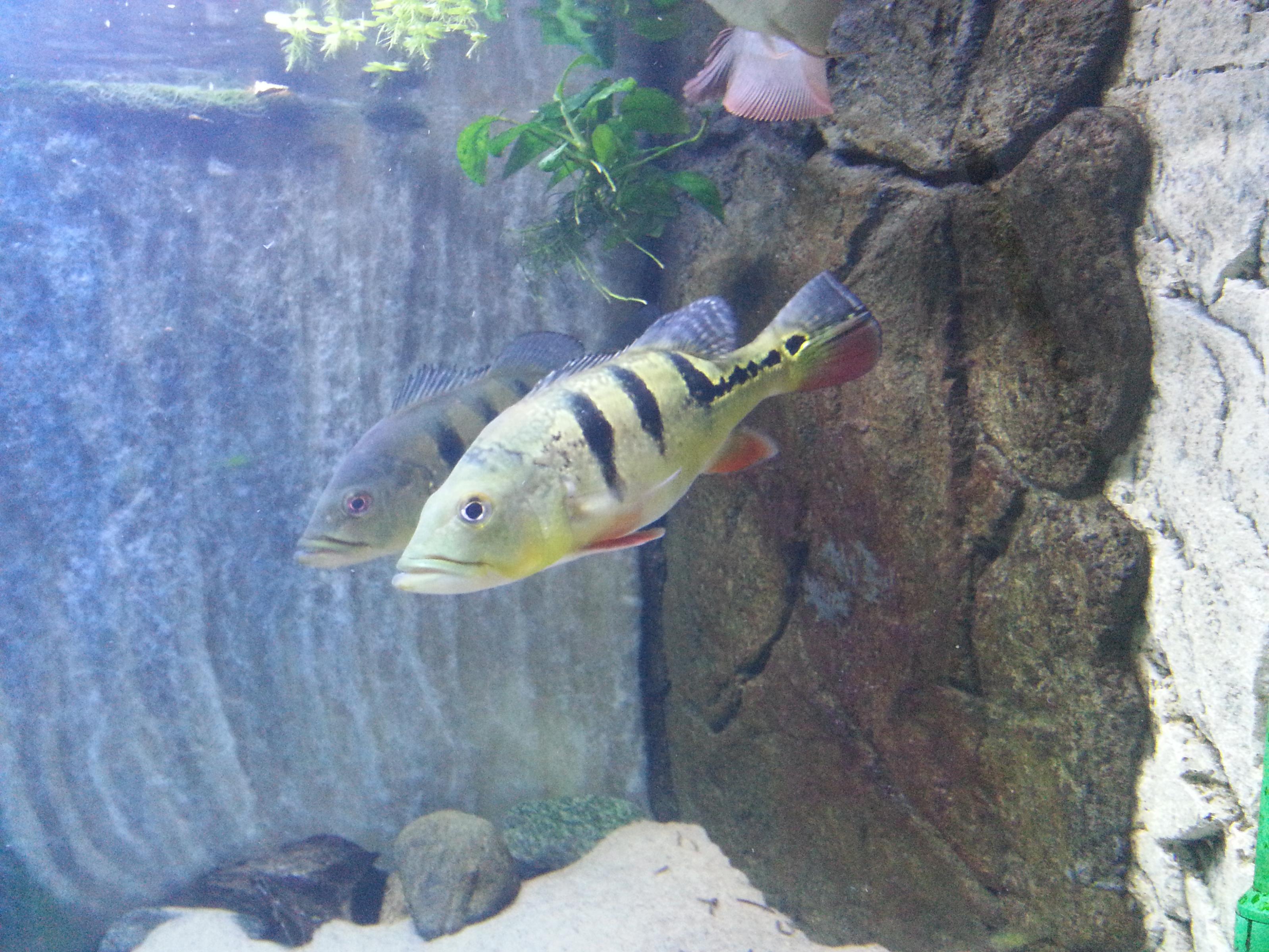 20130707_134031.jpg