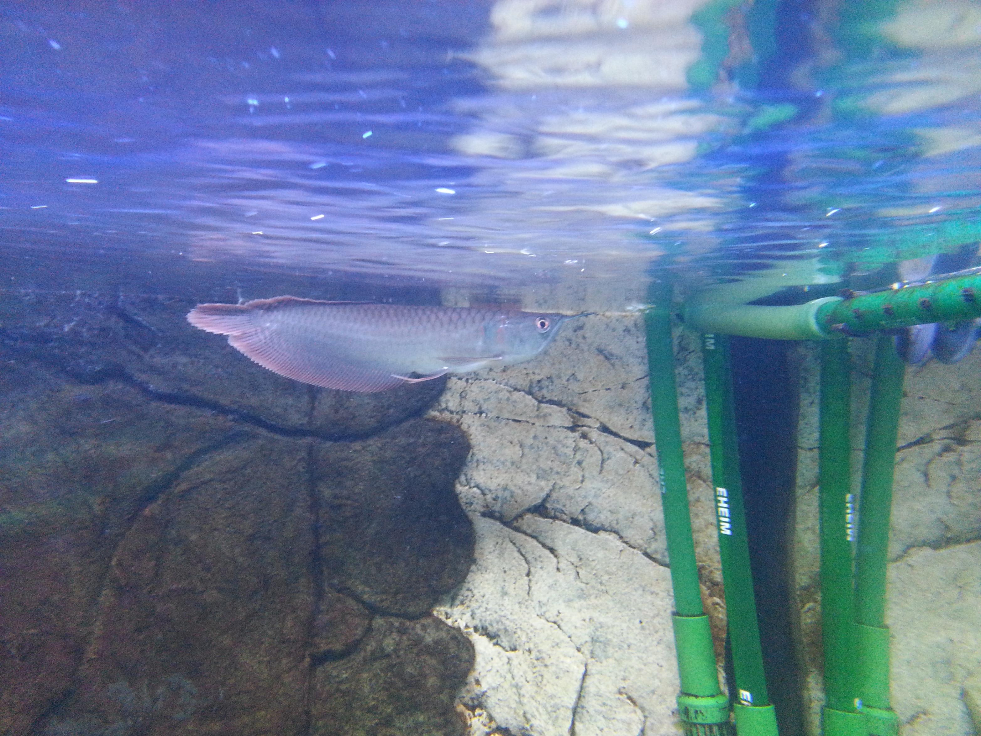 20130530_163657.jpg