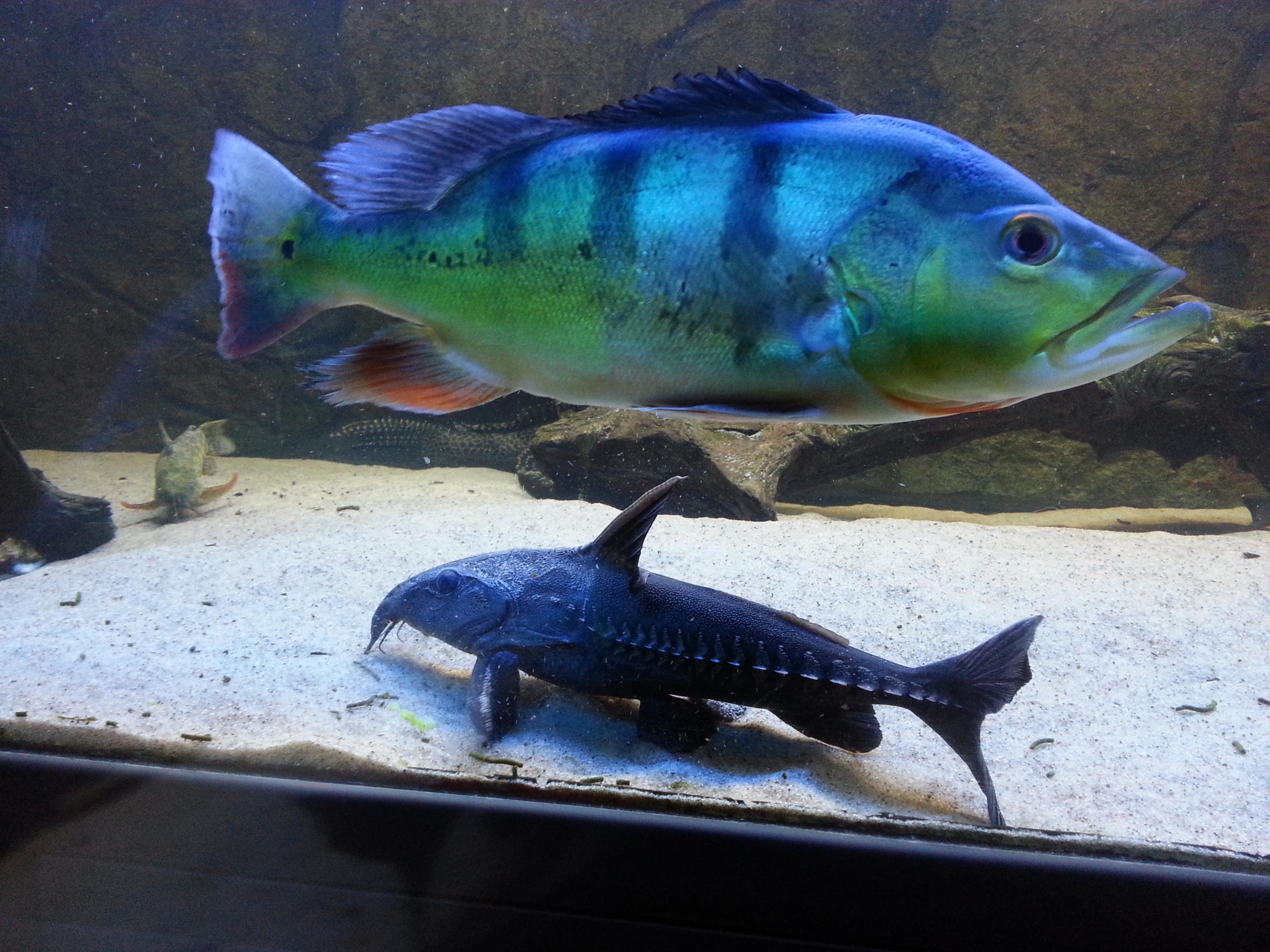 20130704_212735.jpg