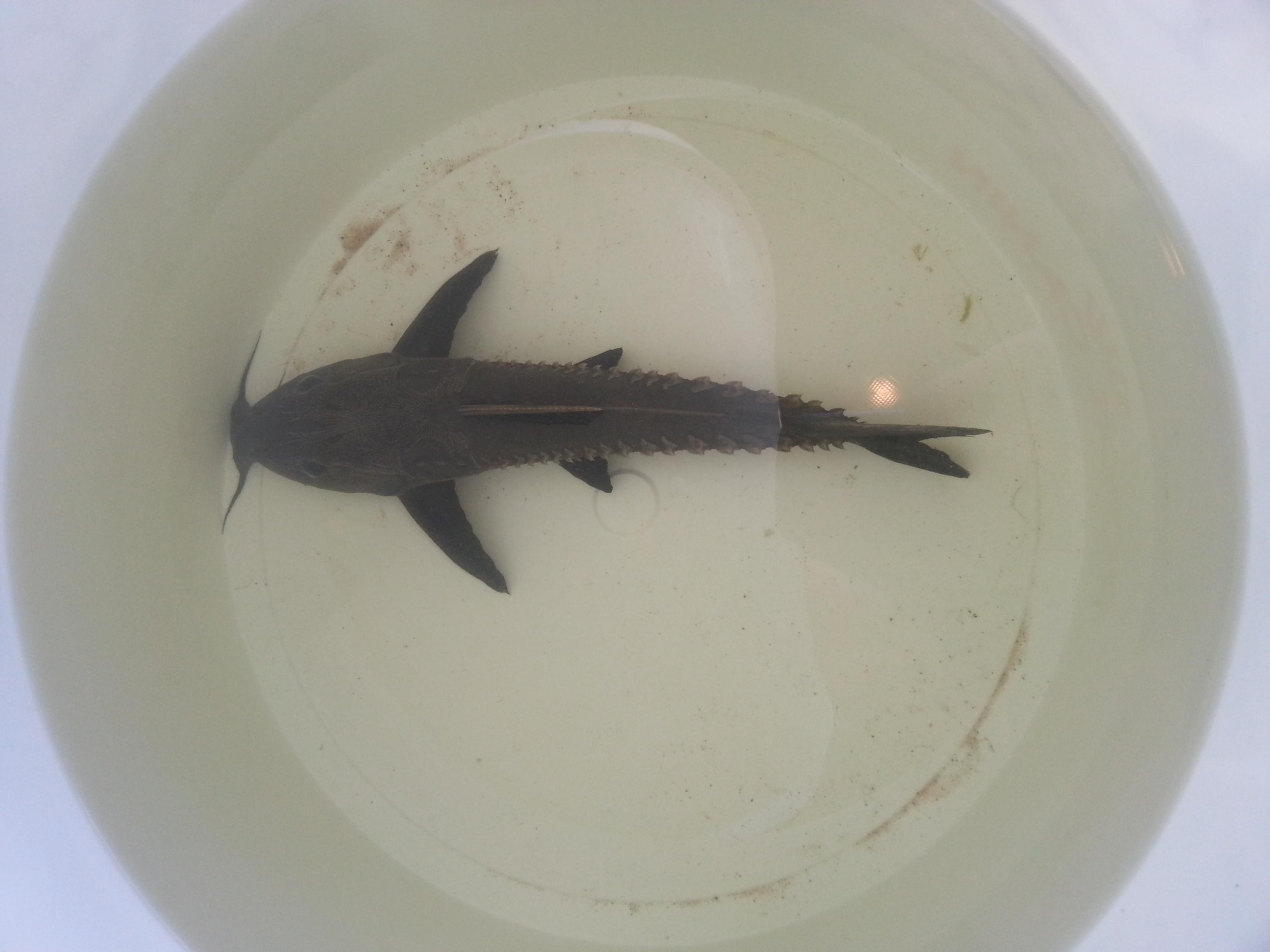 20130615_131220.jpg
