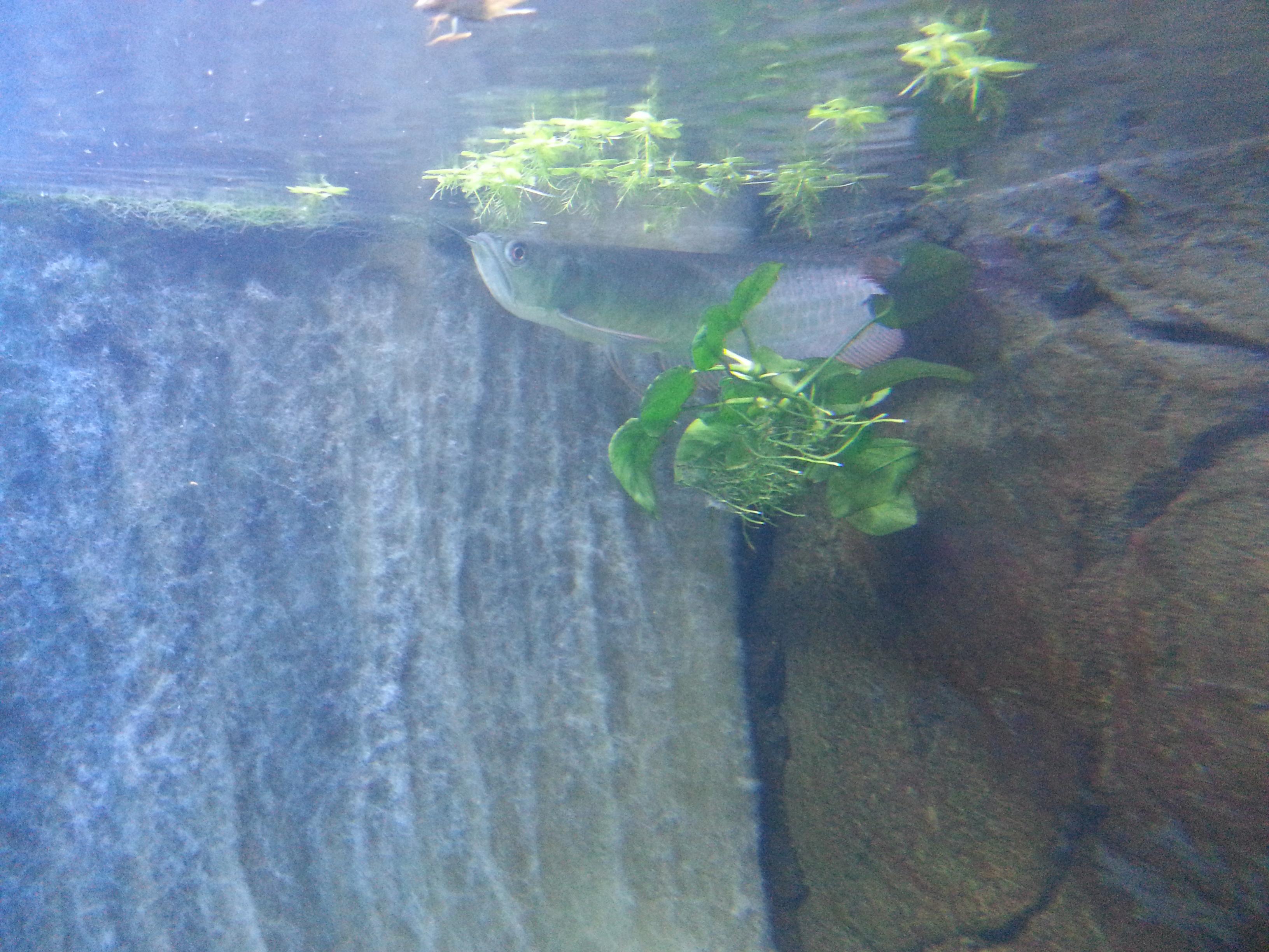 20130707_130005.jpg