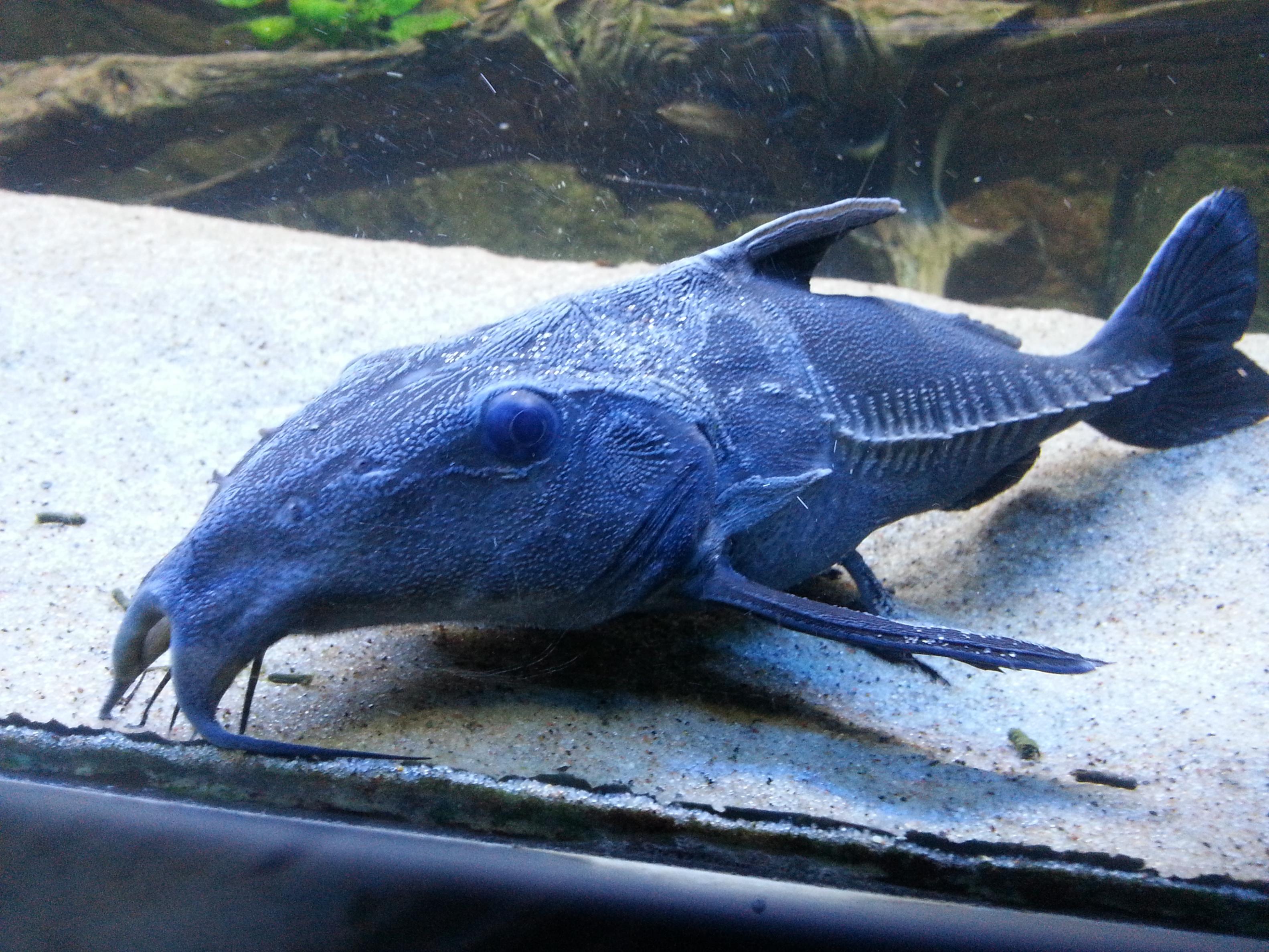 20130704_212711.jpg