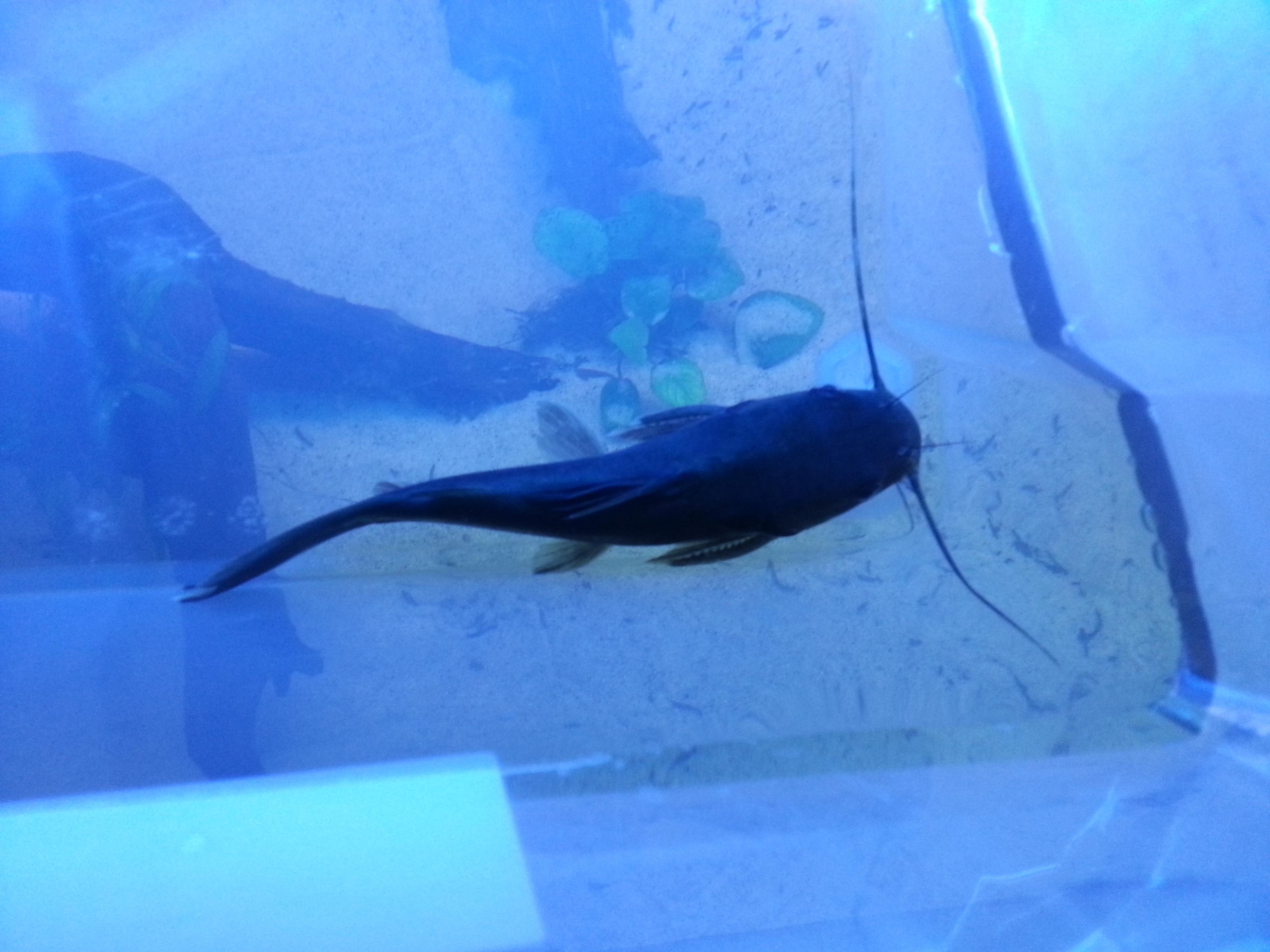 20130618_172824.jpg