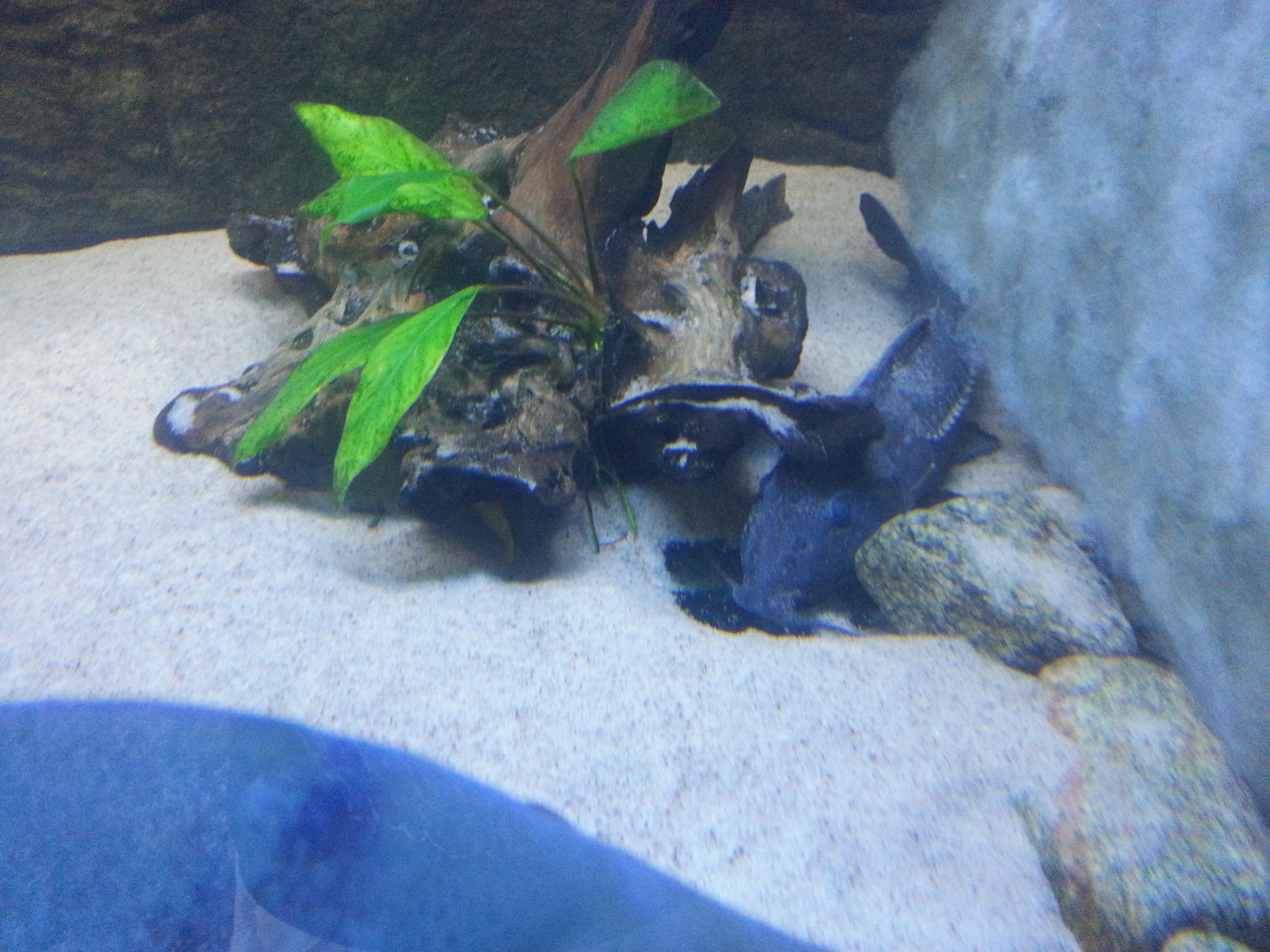 20130707_125938.jpg