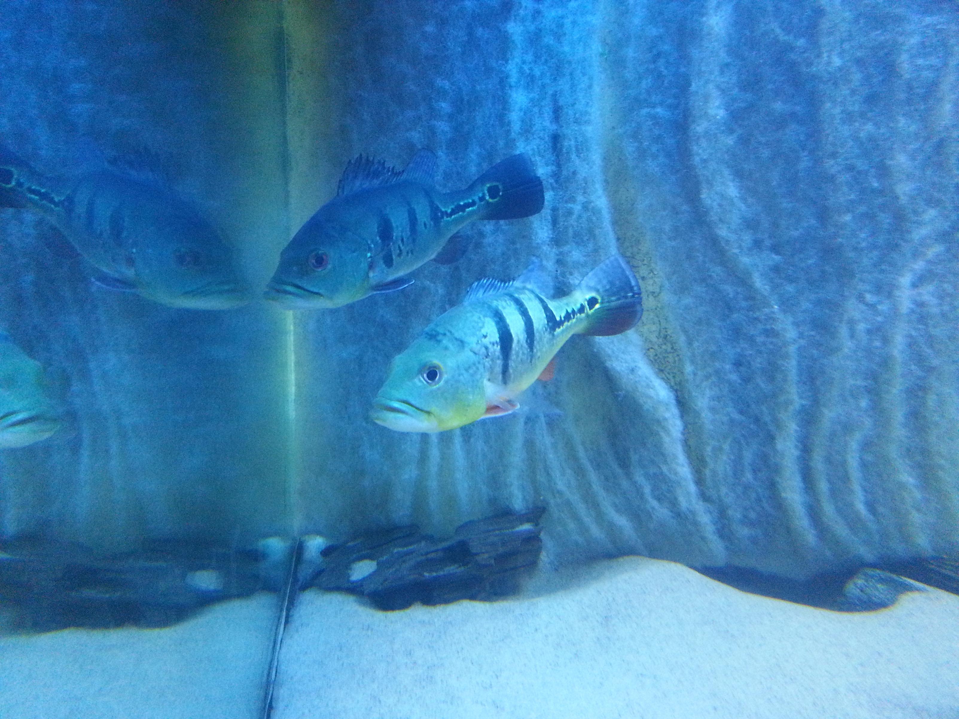 20130707_130014.jpg