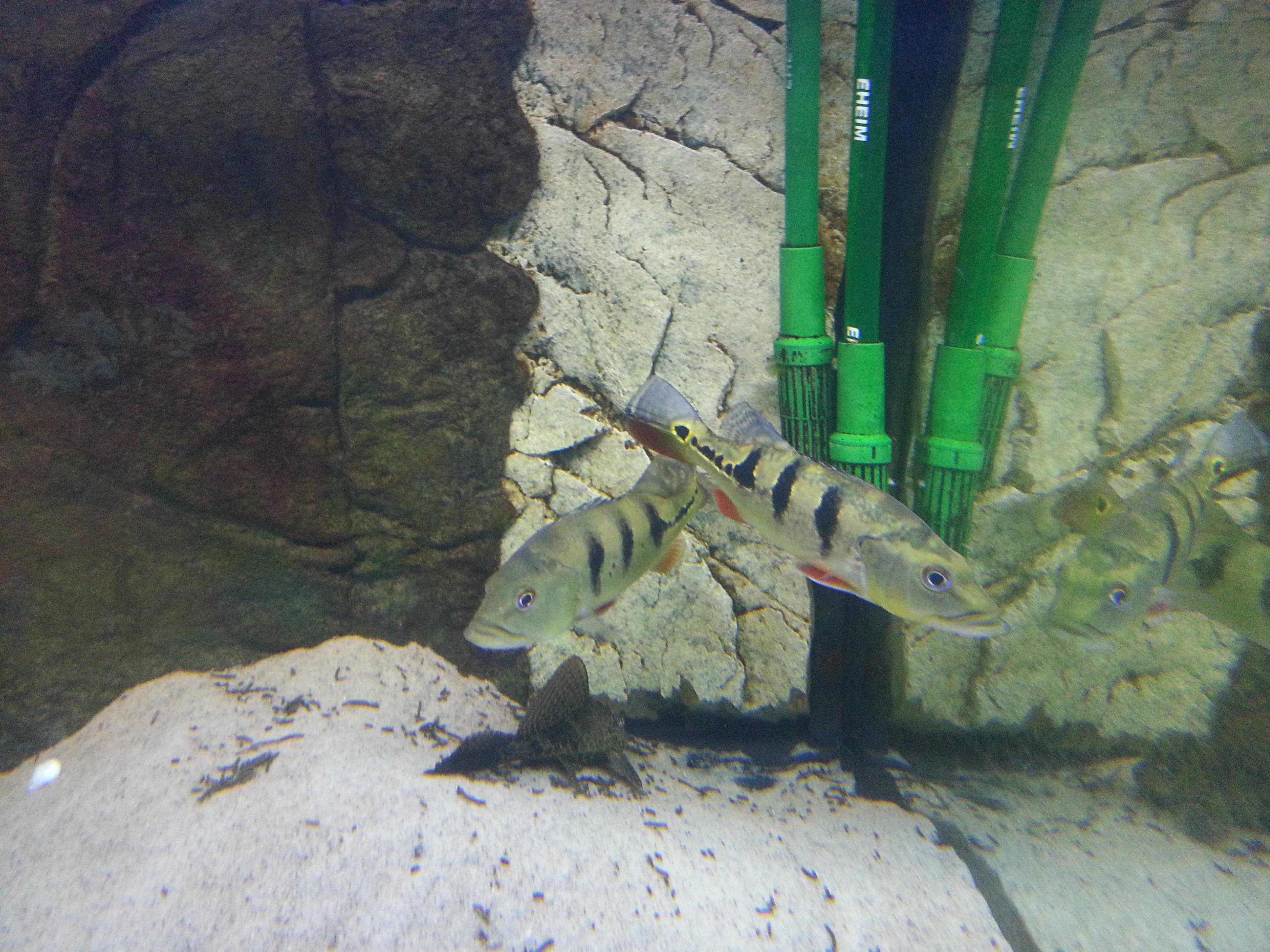 20130530_163703.jpg