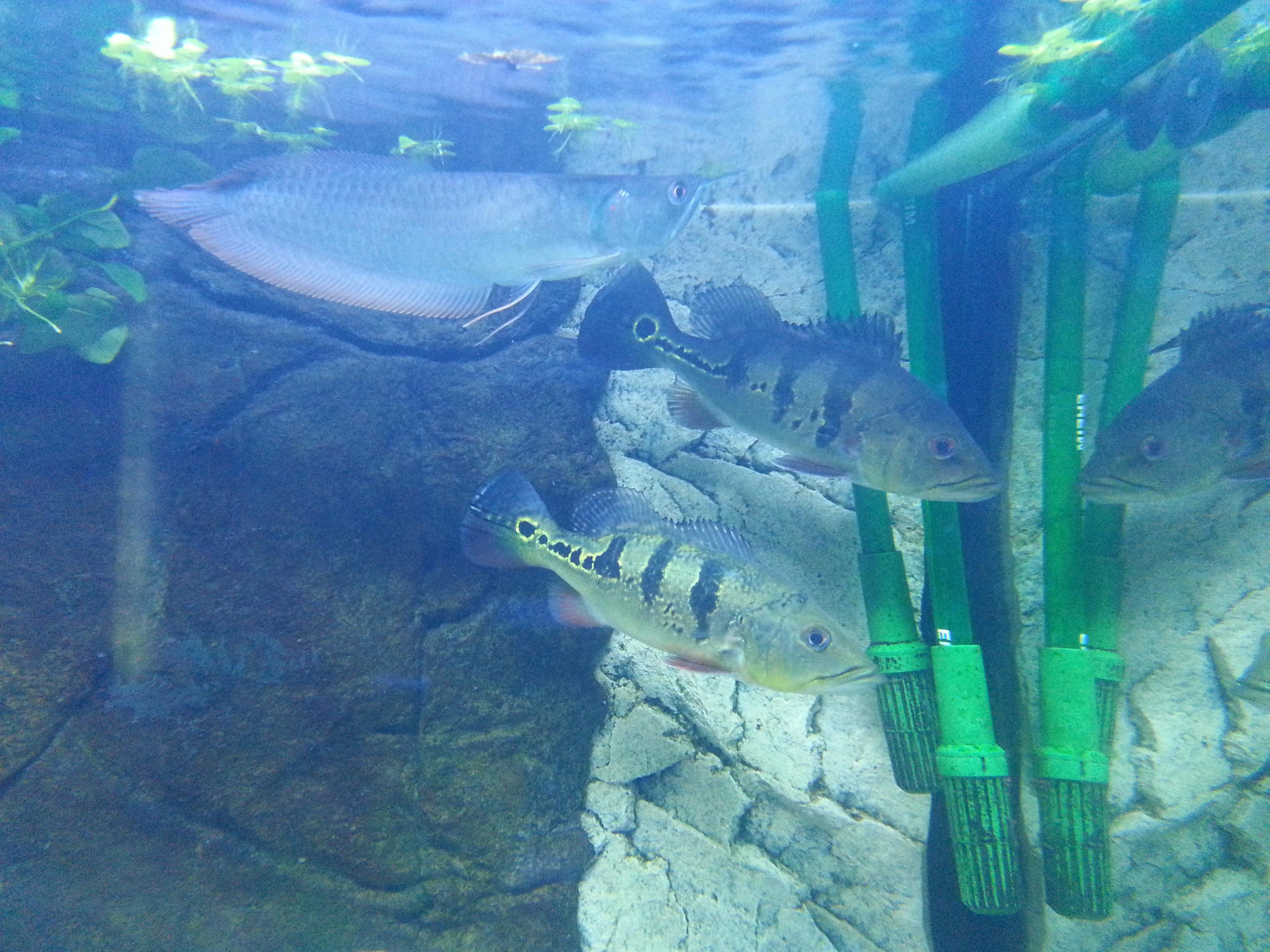 20130707_125900.jpg