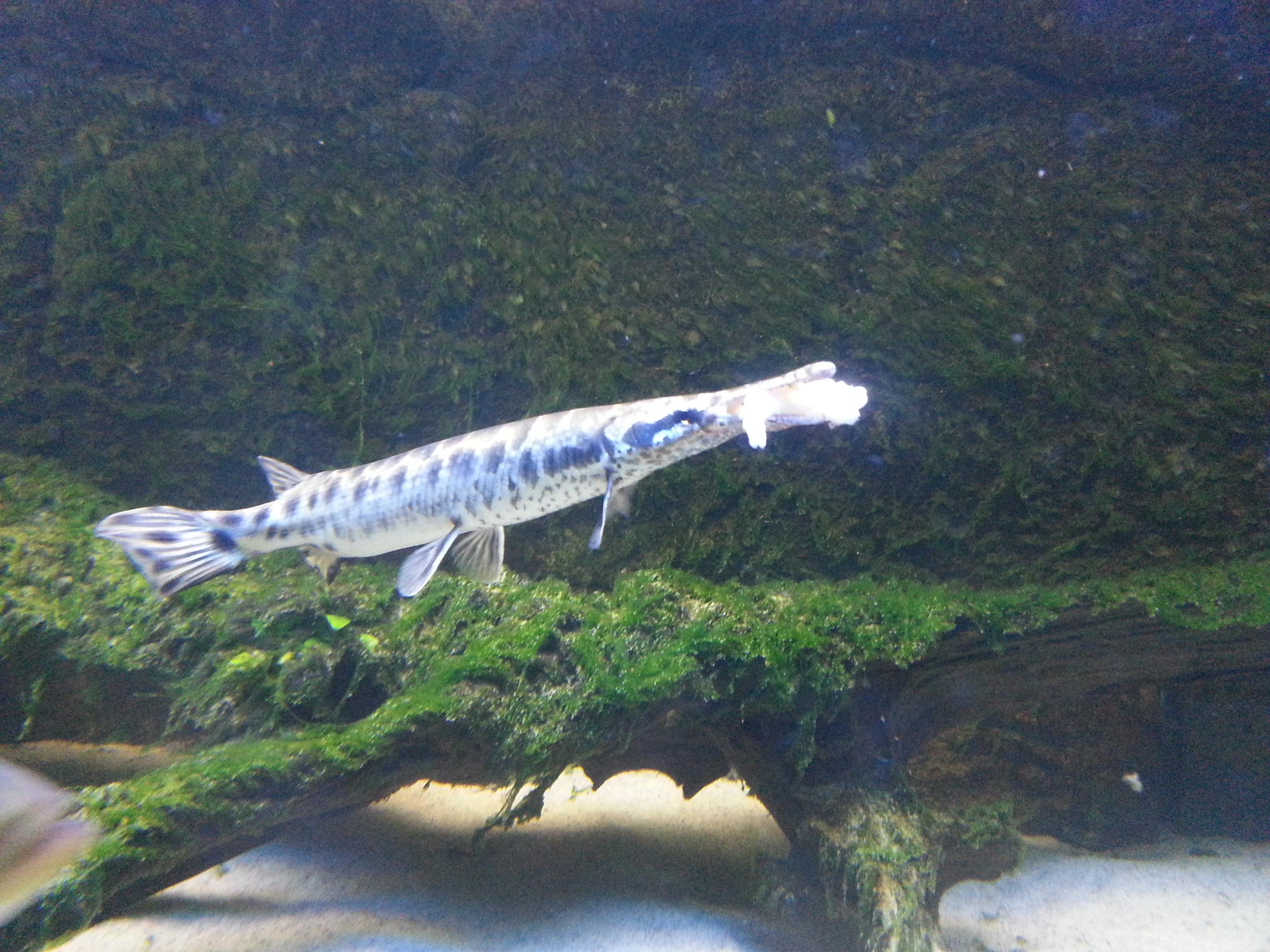 20140112_104205.jpg