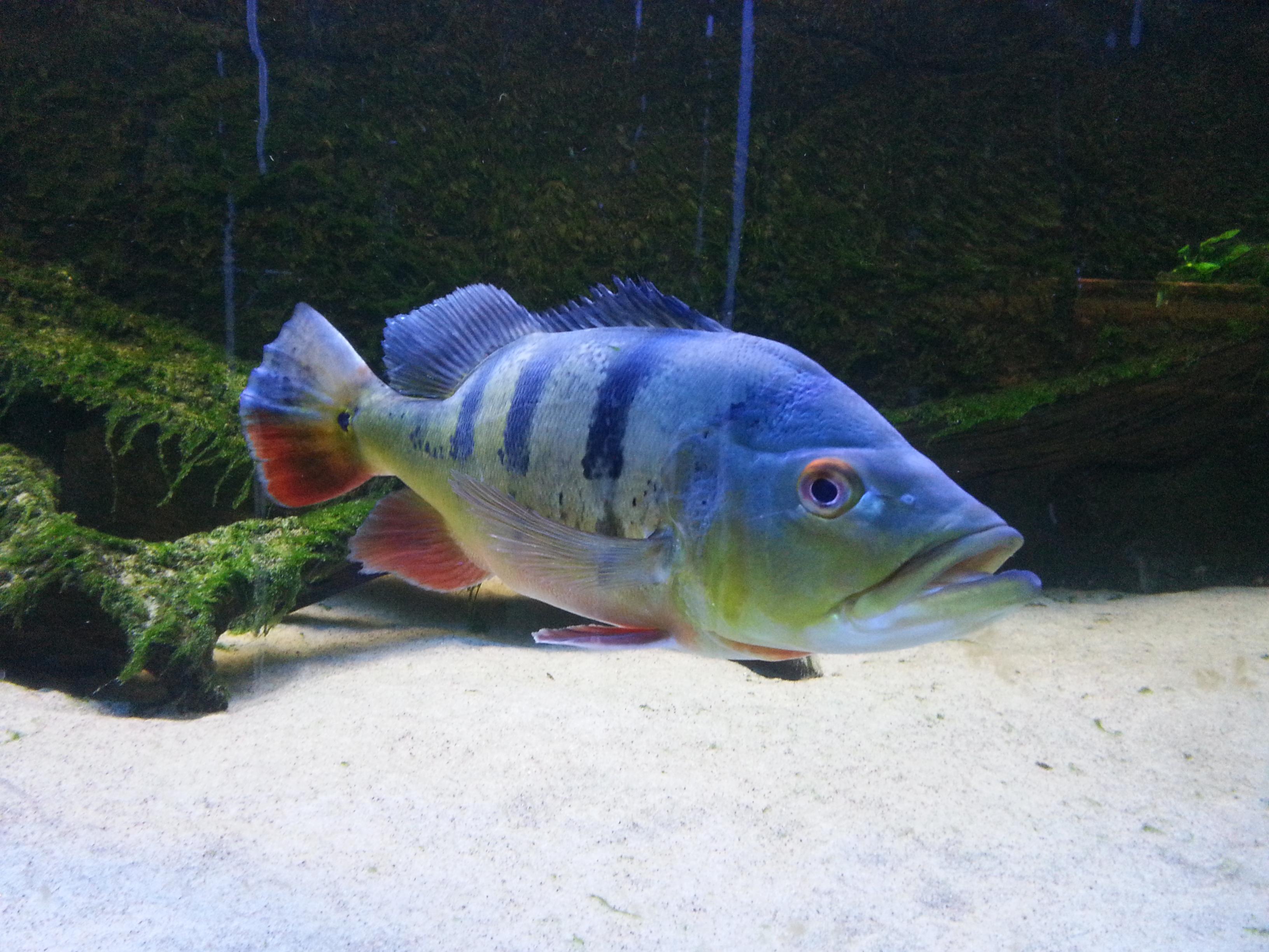 20140112_104224.jpg