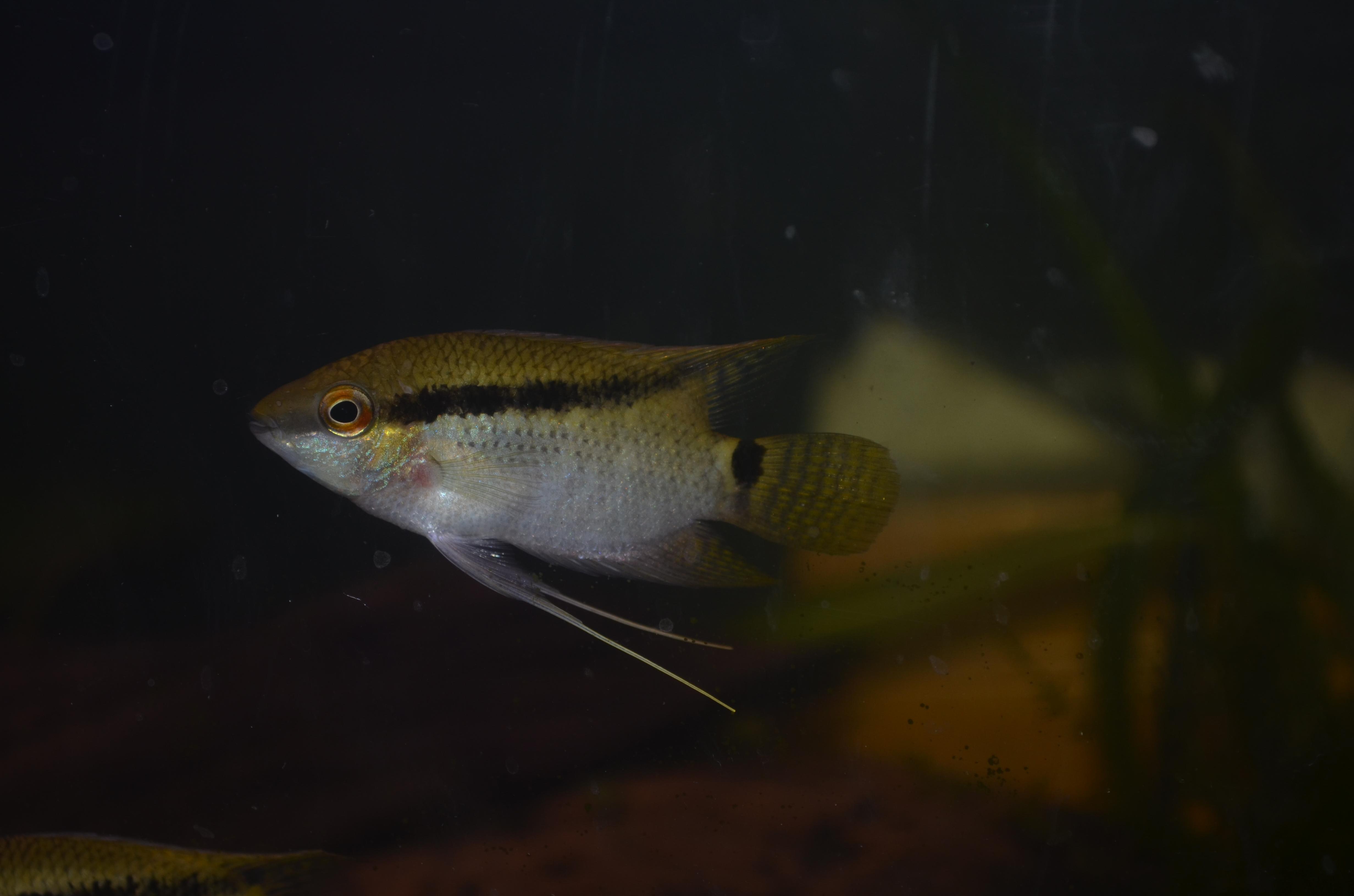 DSC_0045.jpg