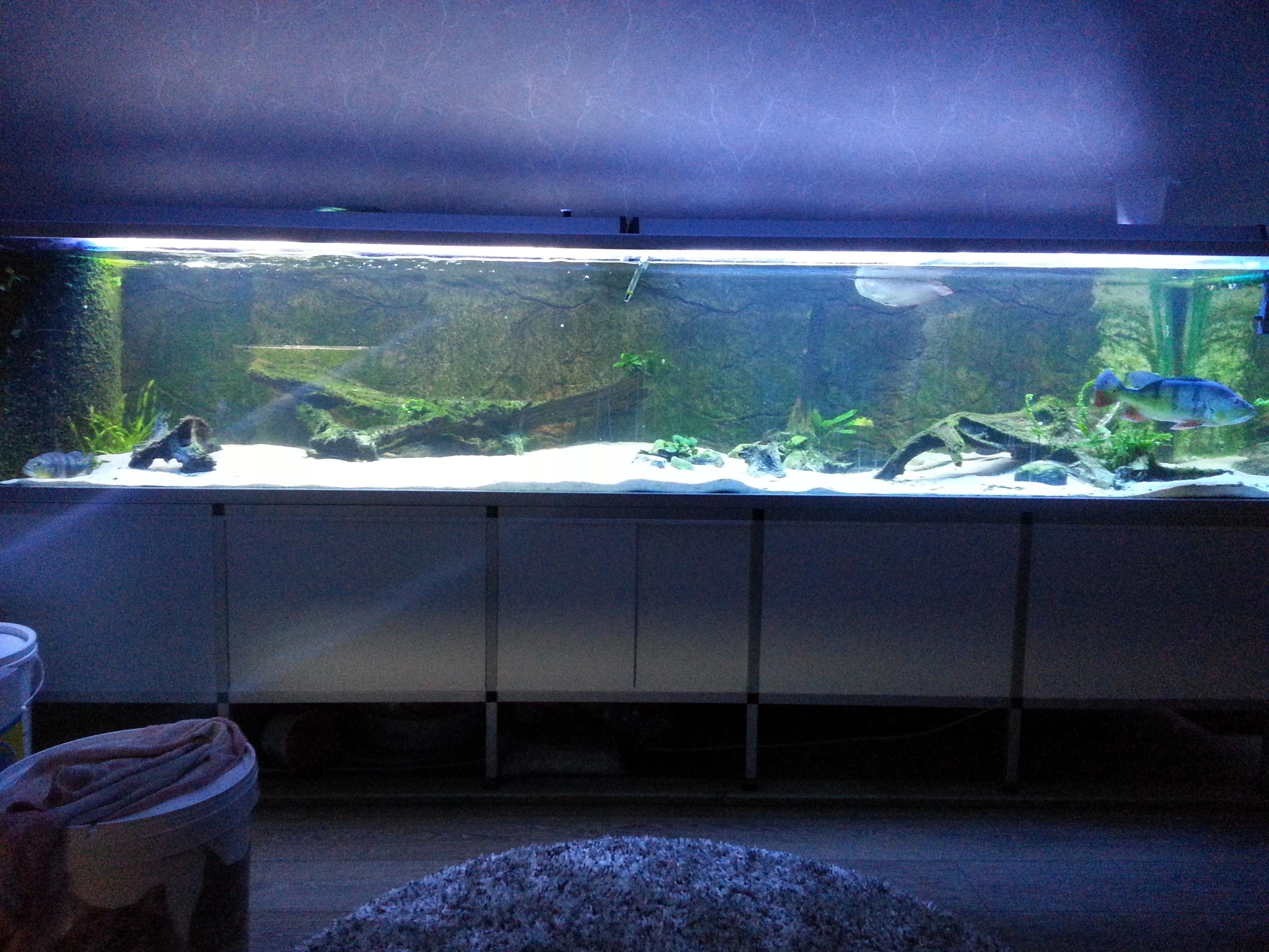 20131028_185303.jpg
