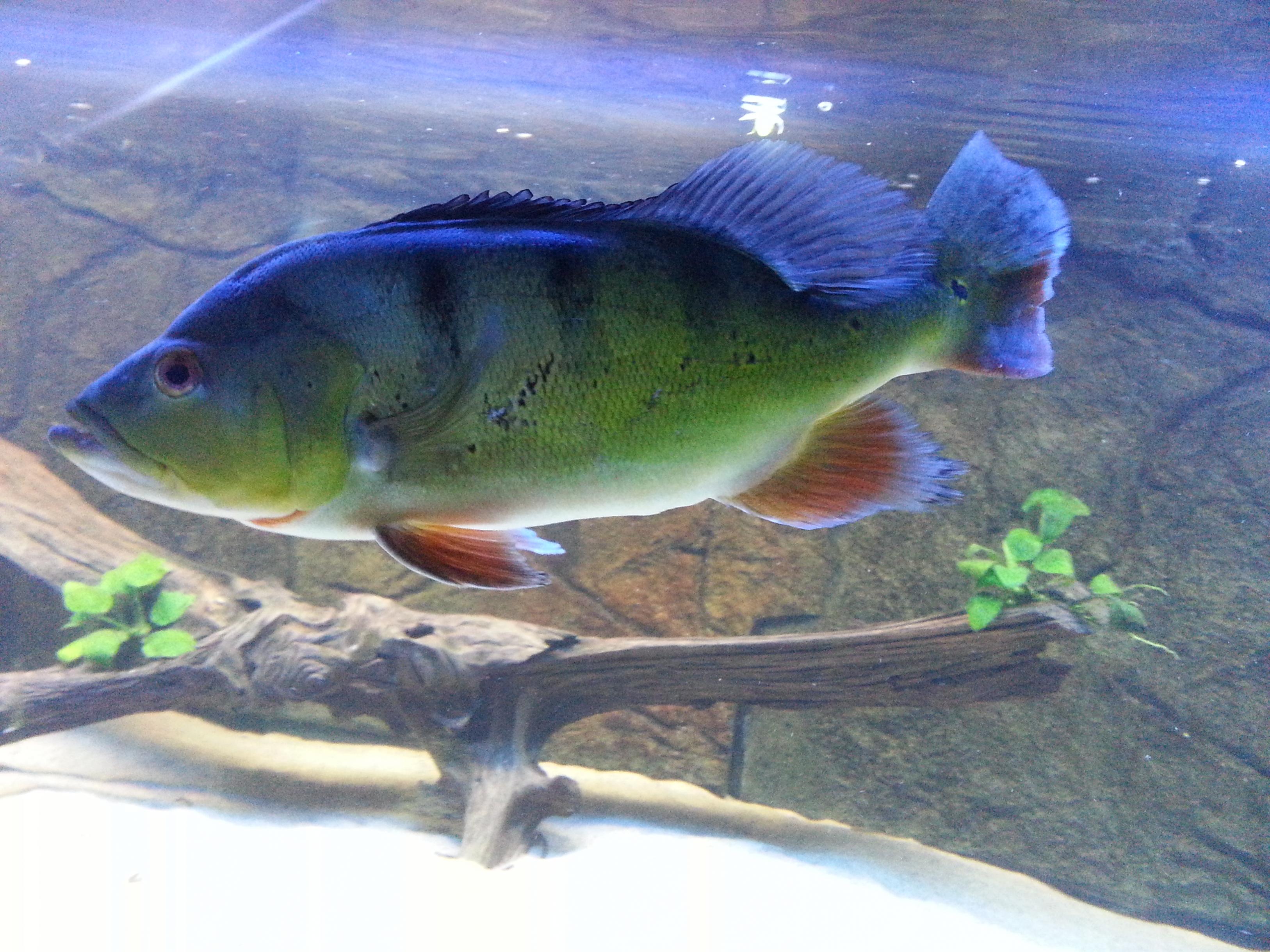 20130626_152740.jpg