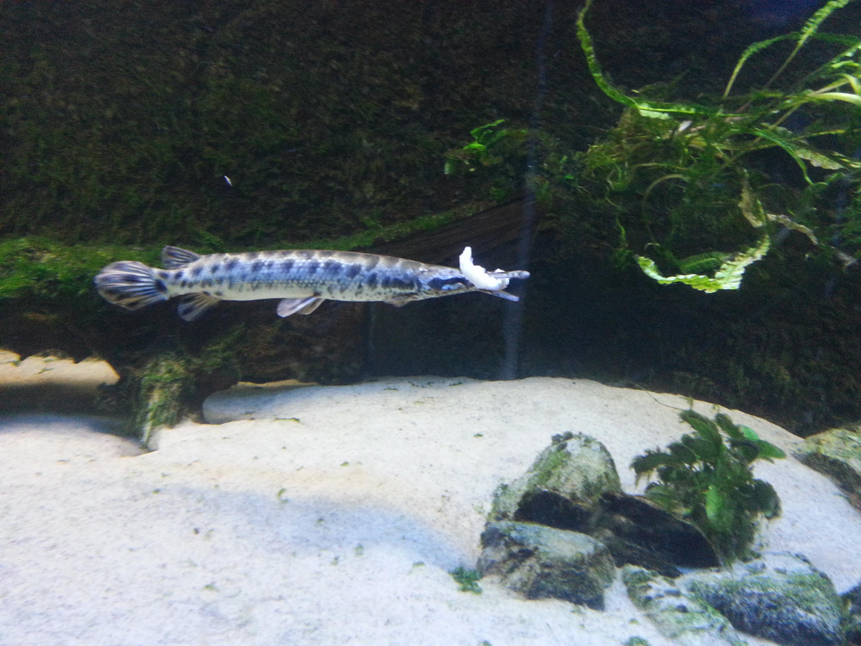 20140112_104239.jpg