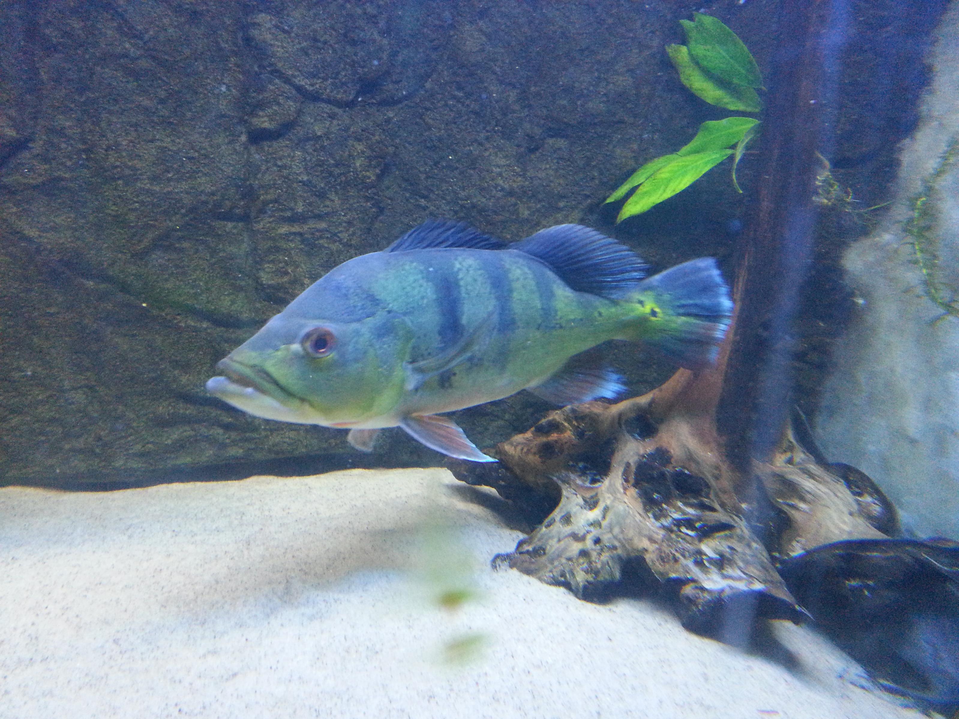 20130626_152726.jpg