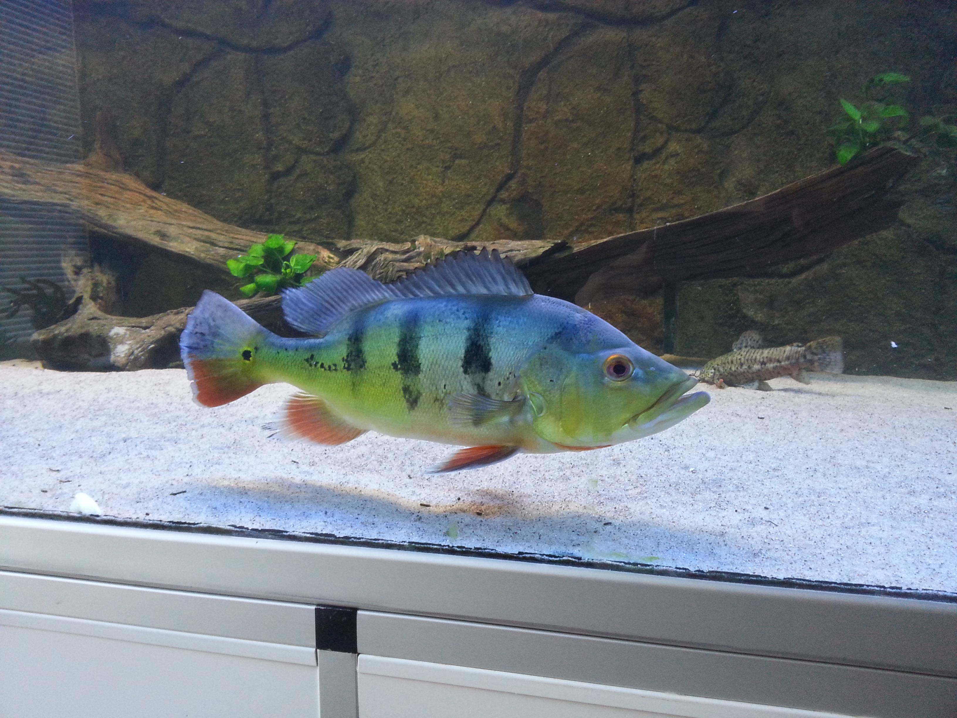 20130707_133901.jpg