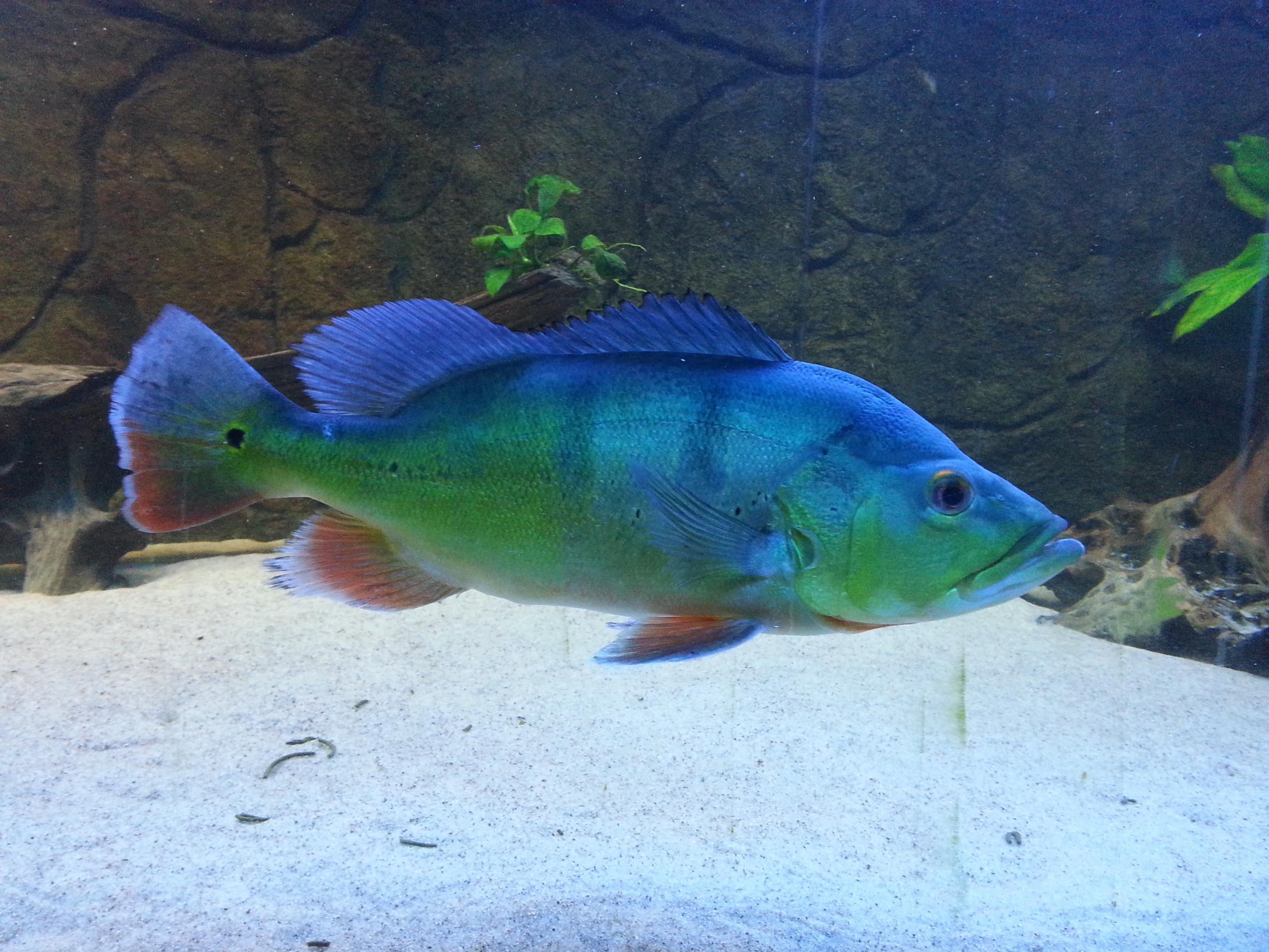 20130626_152804.jpg