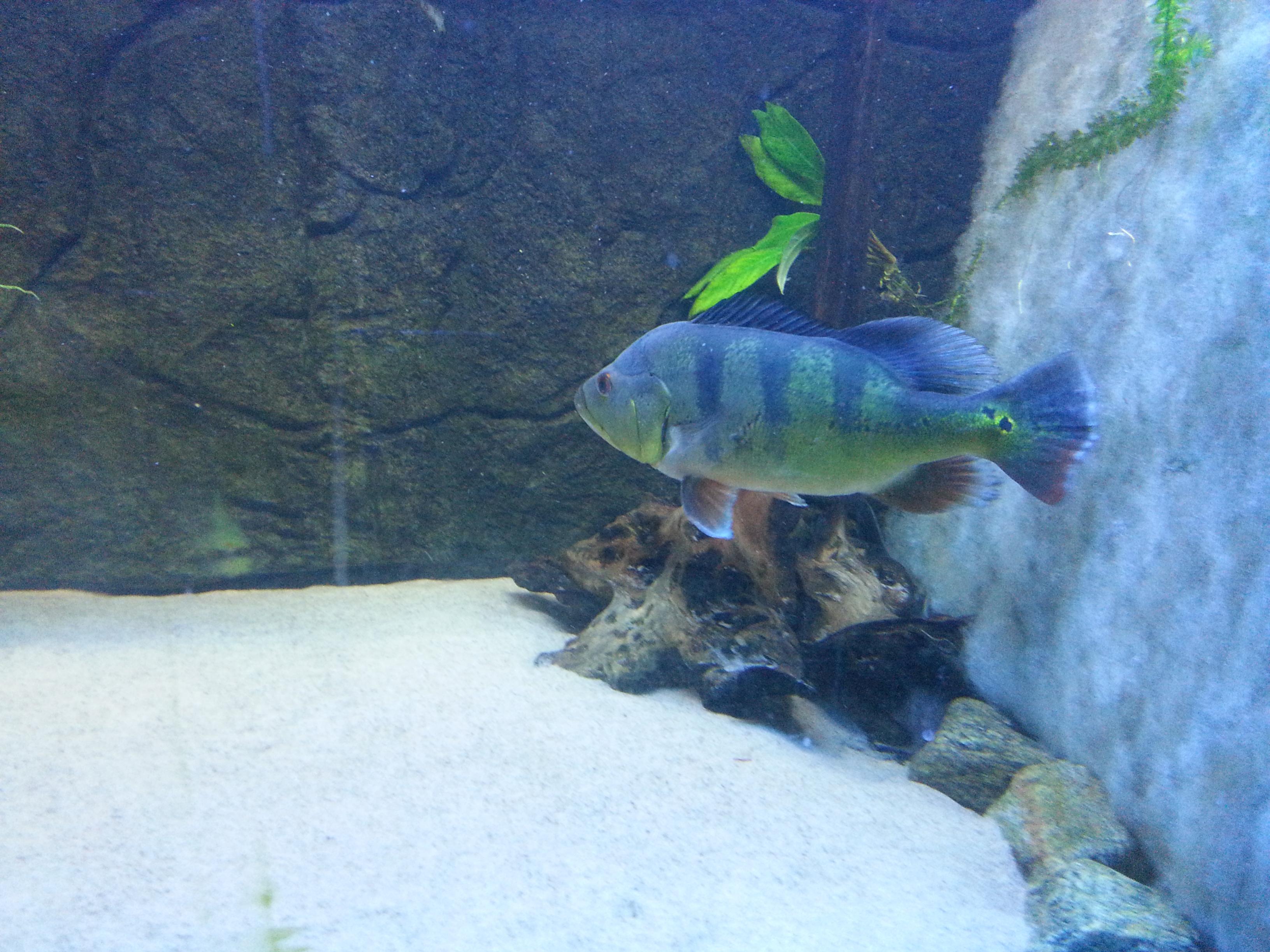 20130626_152722.jpg