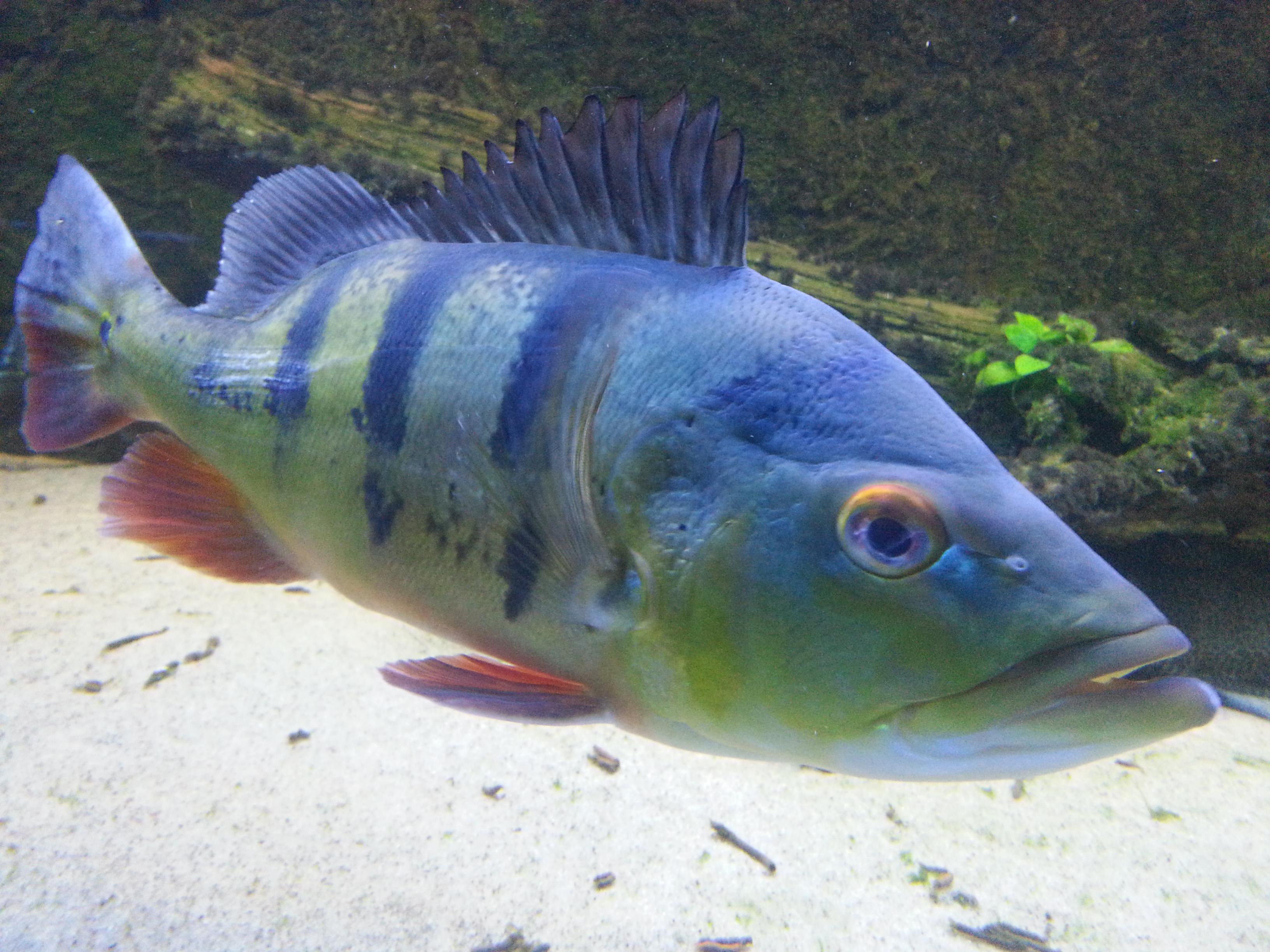 20131125_191157.jpg