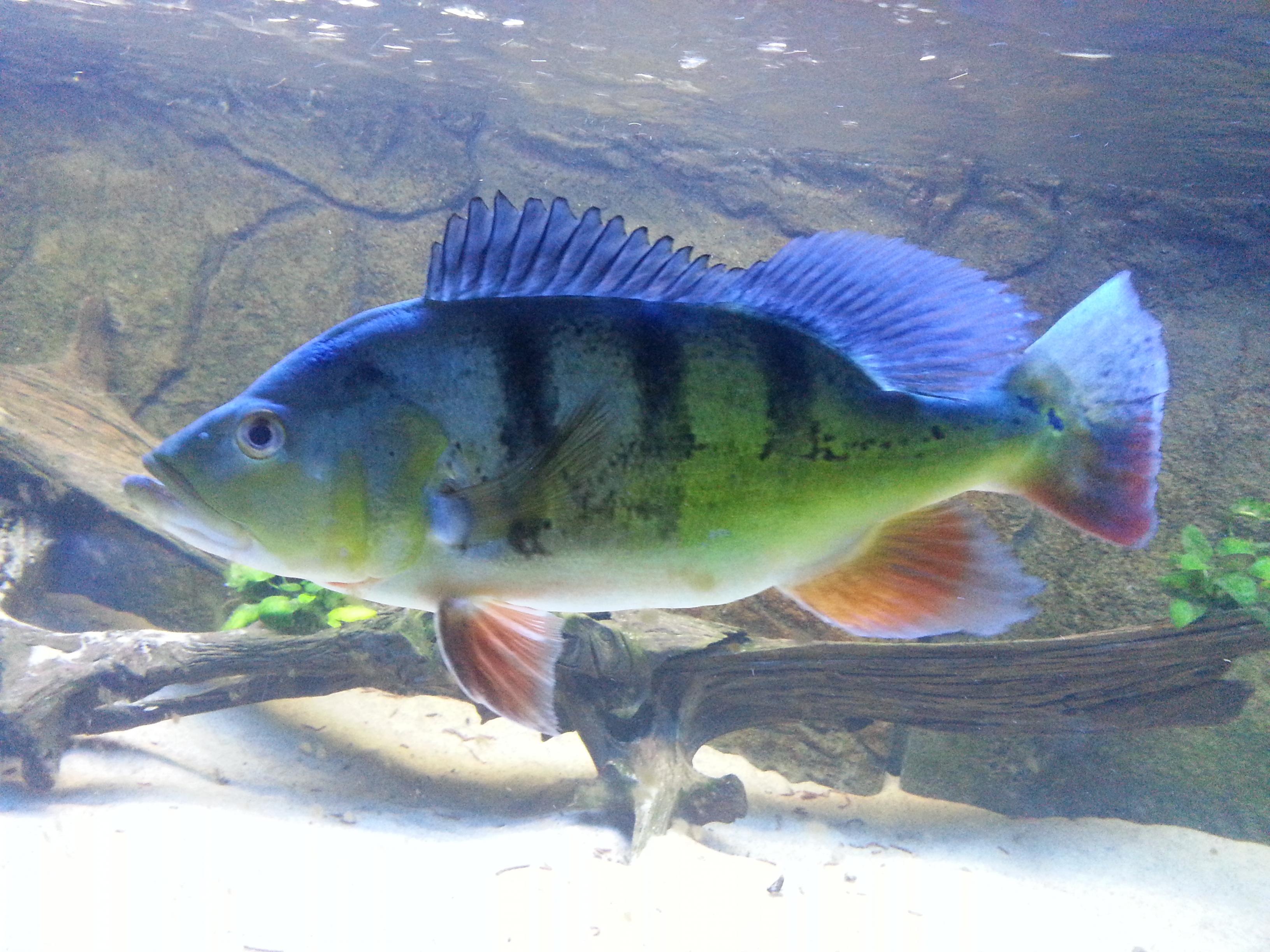 20130805_220249.jpg