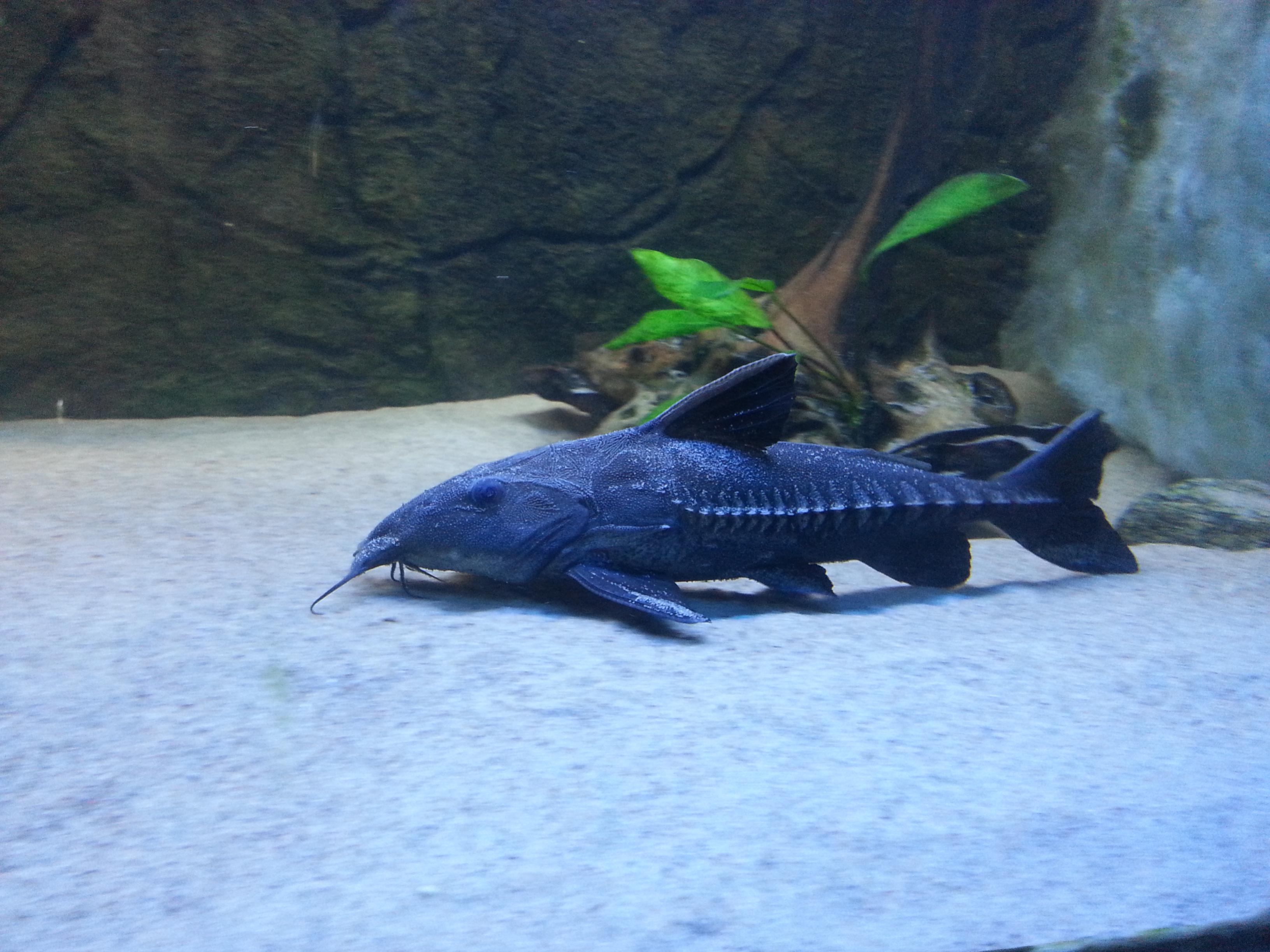 20130707_133914.jpg