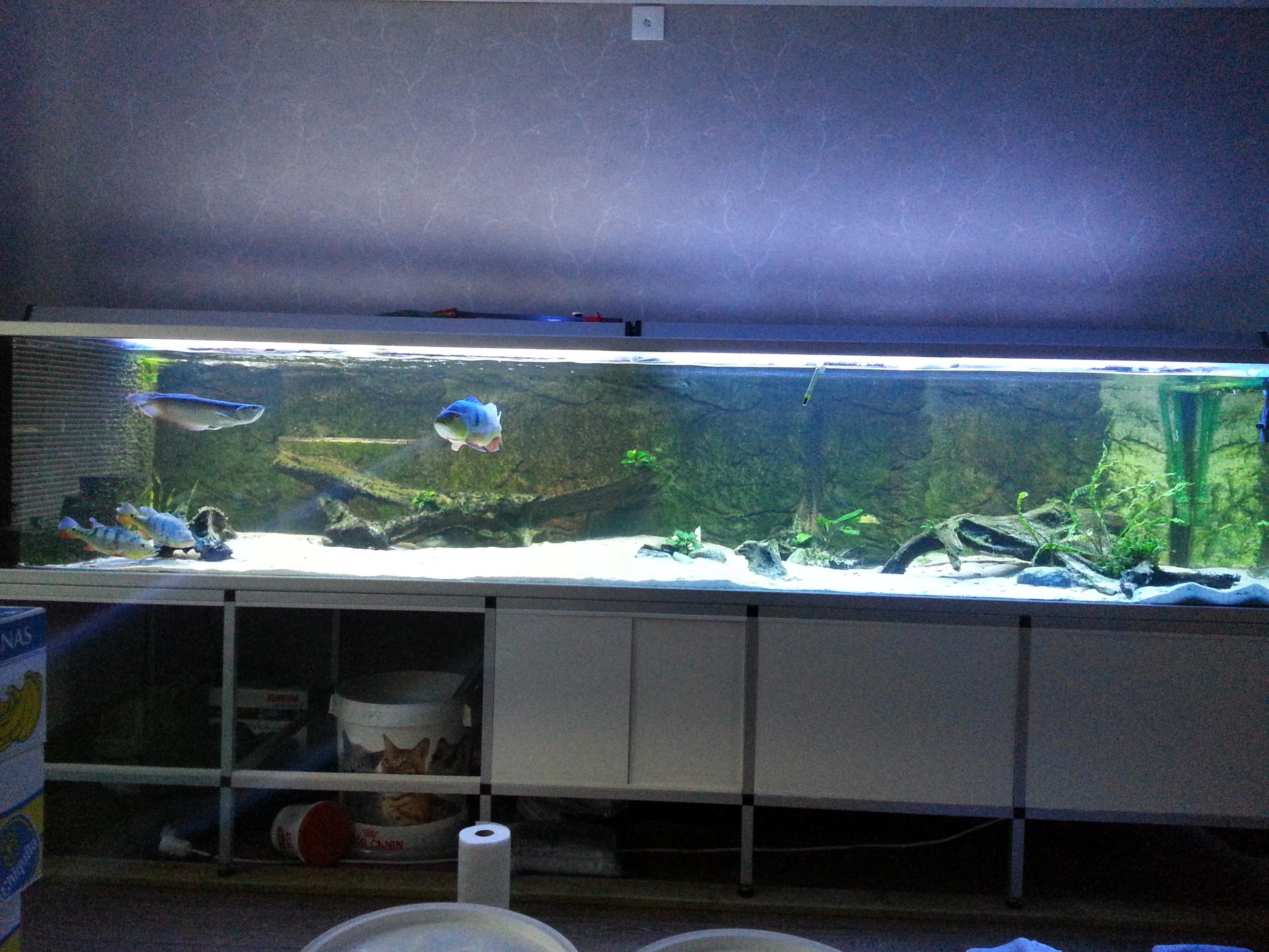 20131110_125504.jpg
