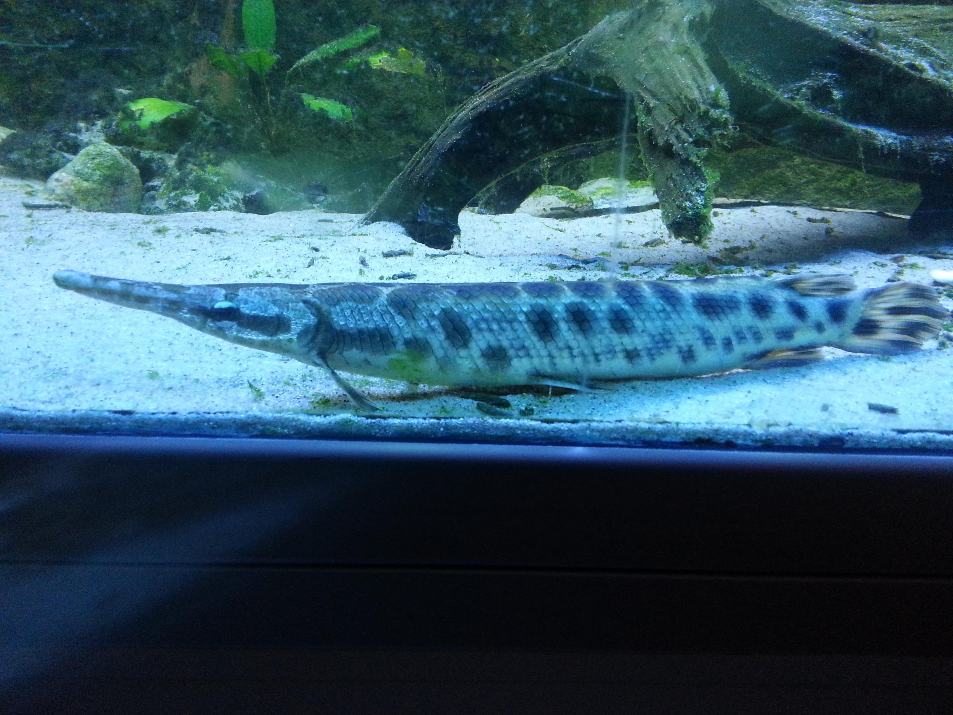 20131203_151715.jpg