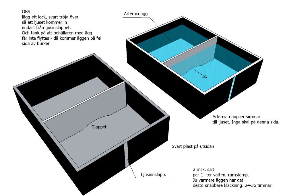 artemia kläckare.jpg
