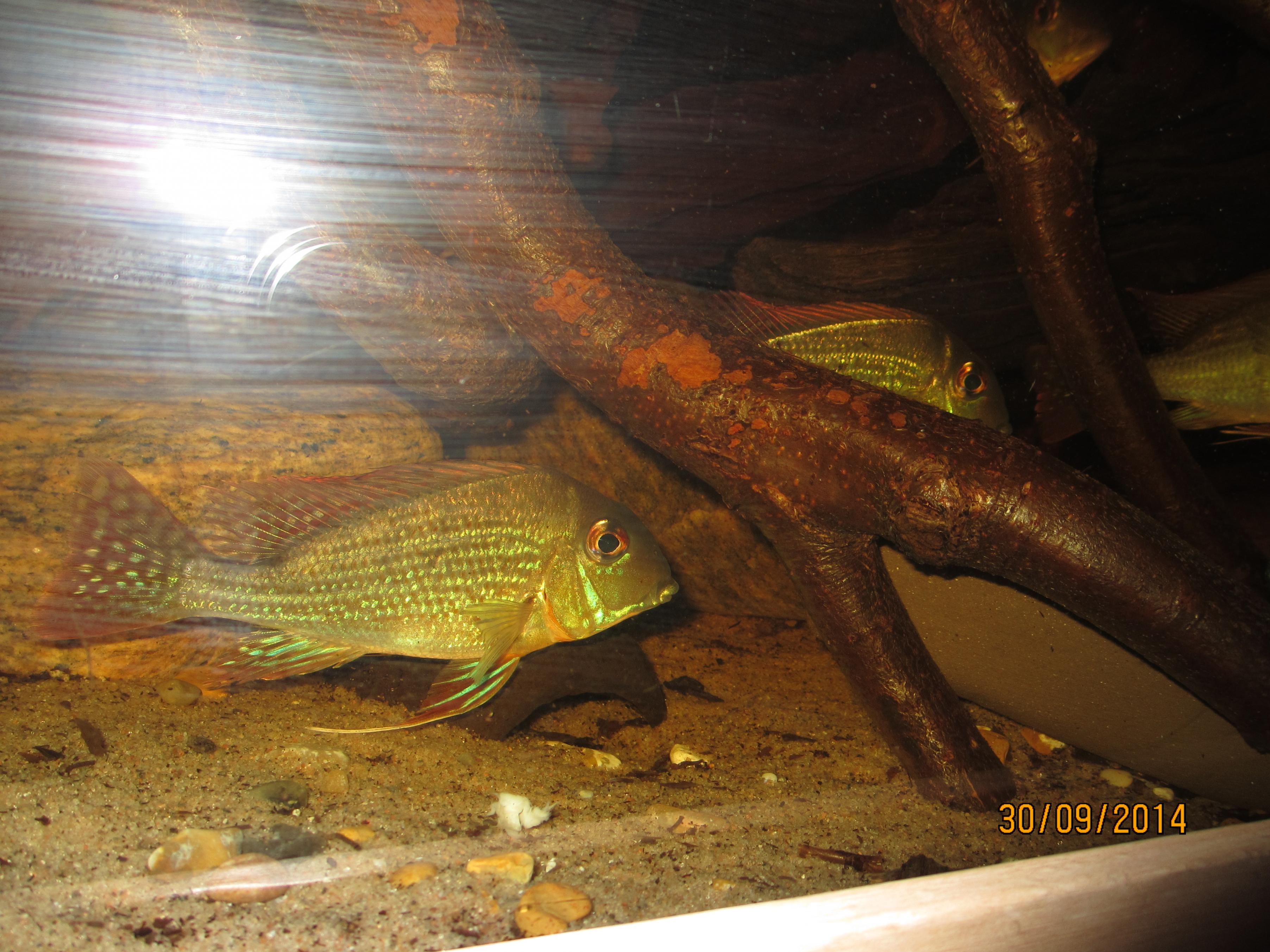 IMG_1705.jpg