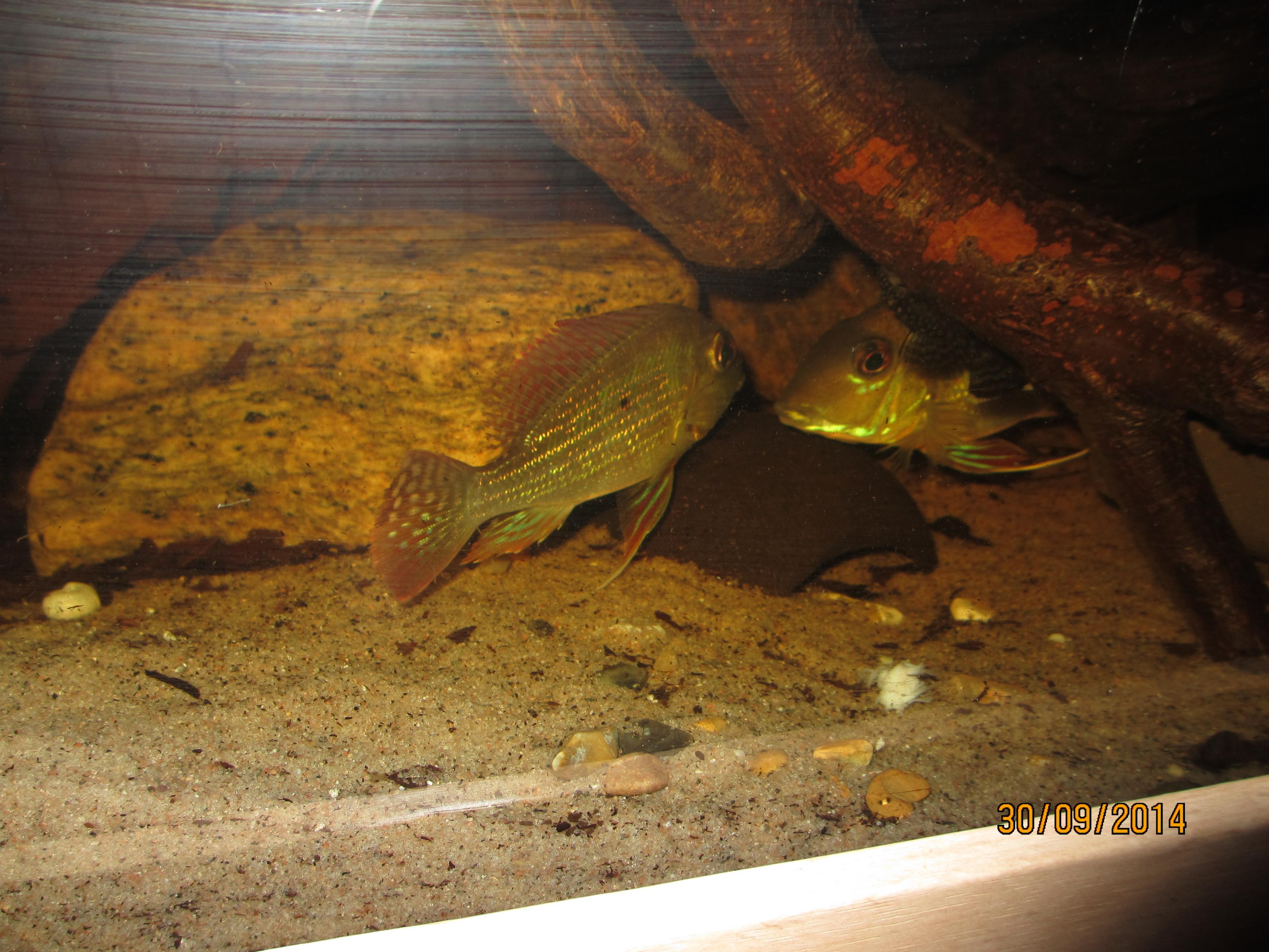 IMG_1701.jpg