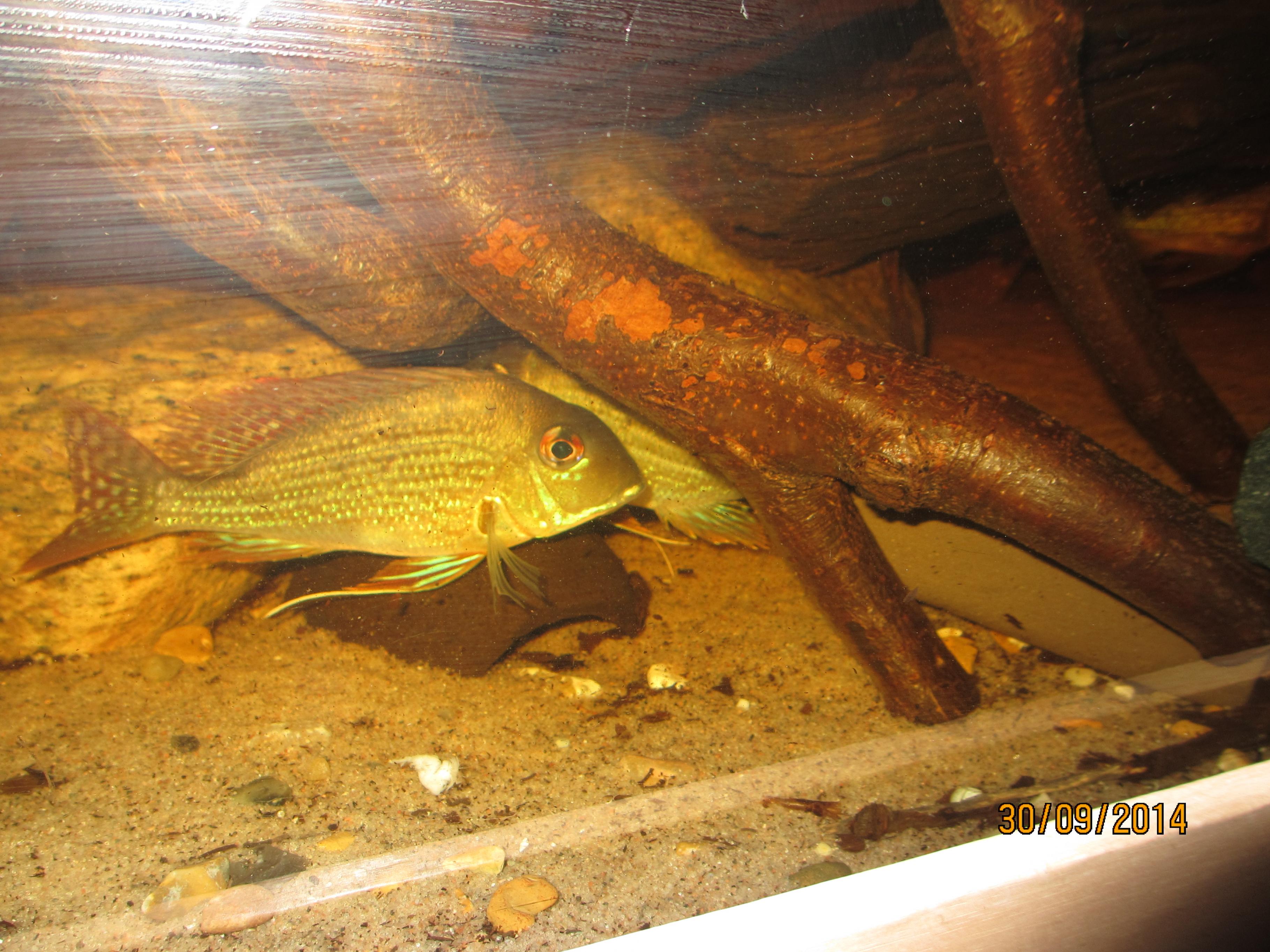IMG_1706.jpg