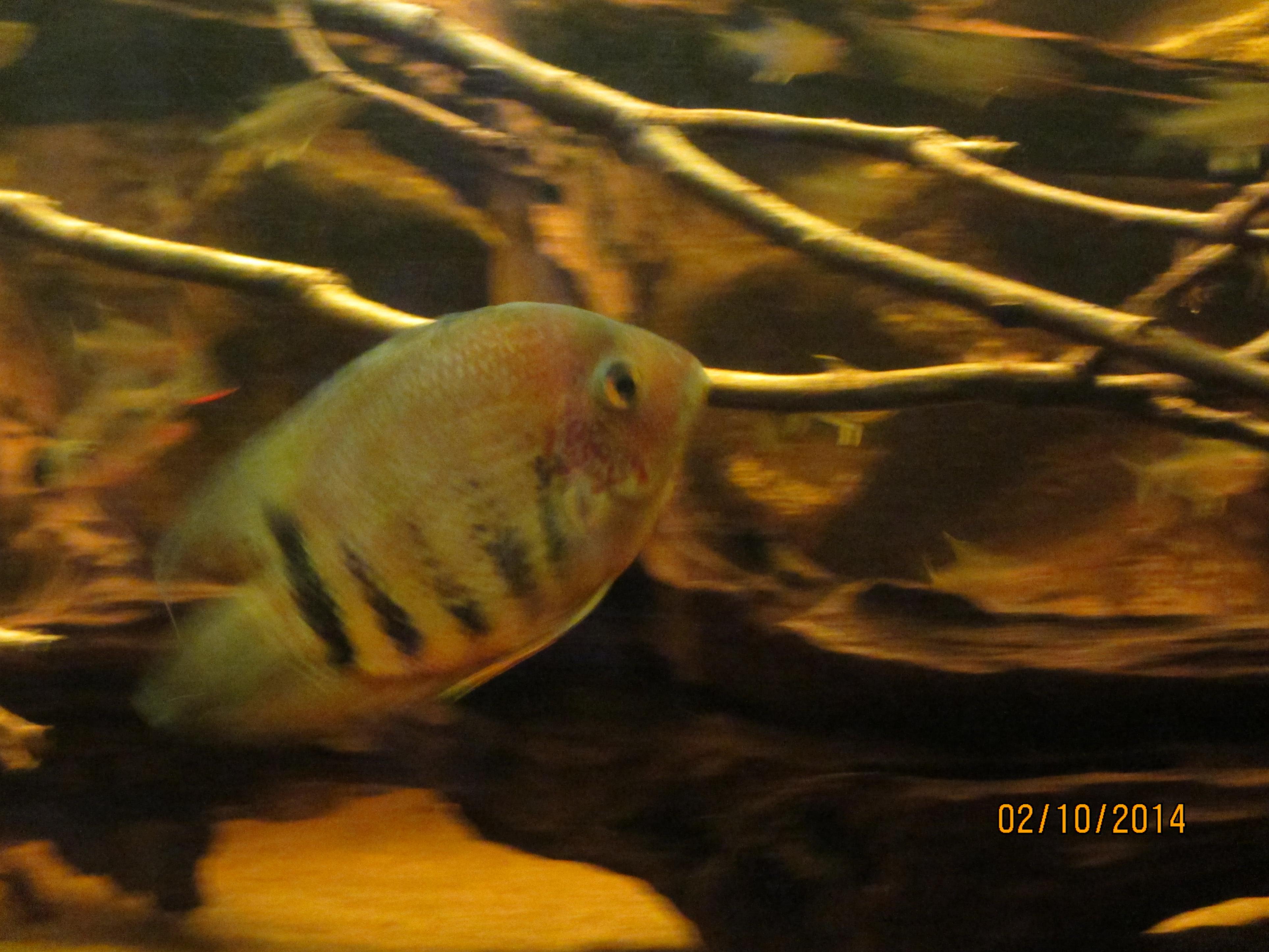 IMG_1728.jpg