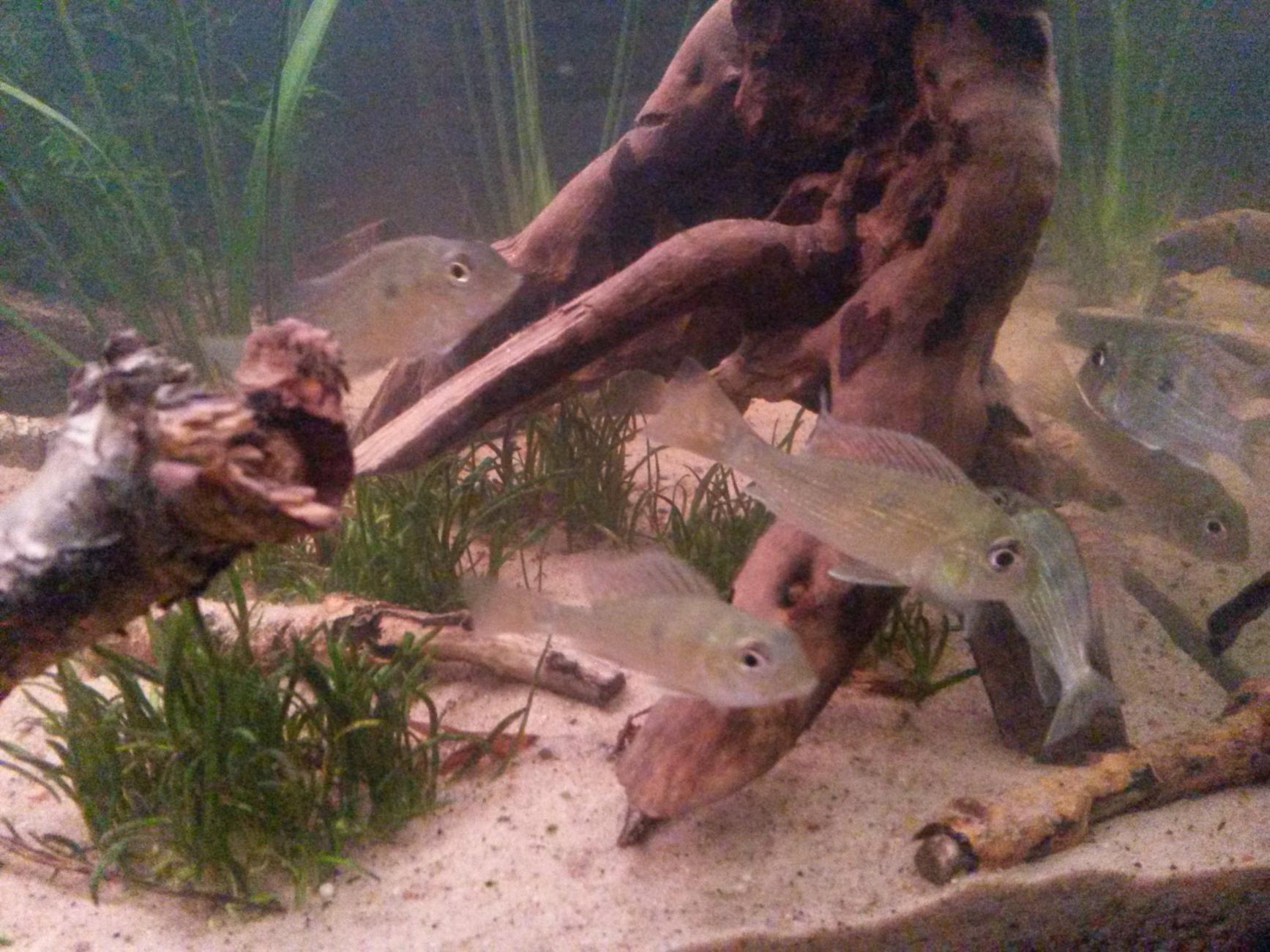 20141010_181522.jpg