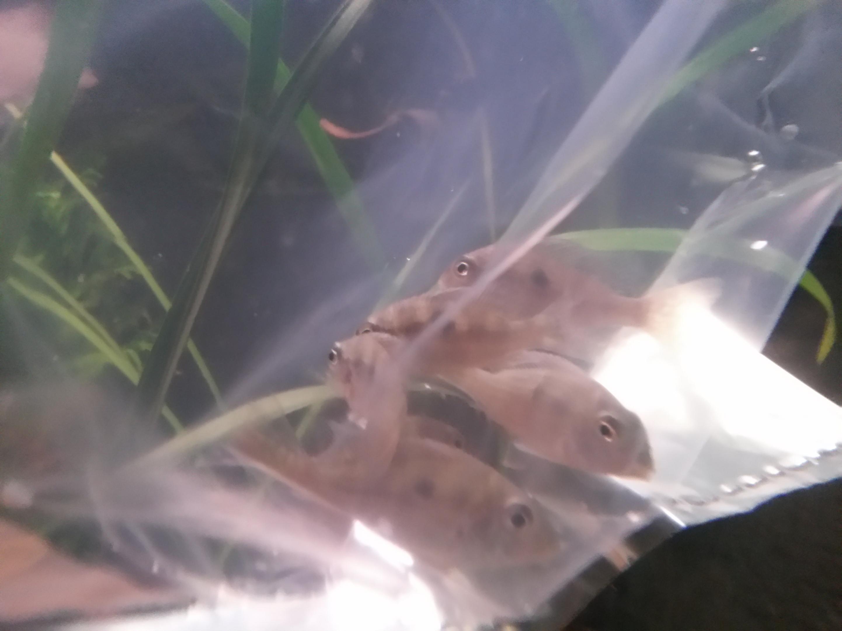 20141007_153943_LLS.jpg
