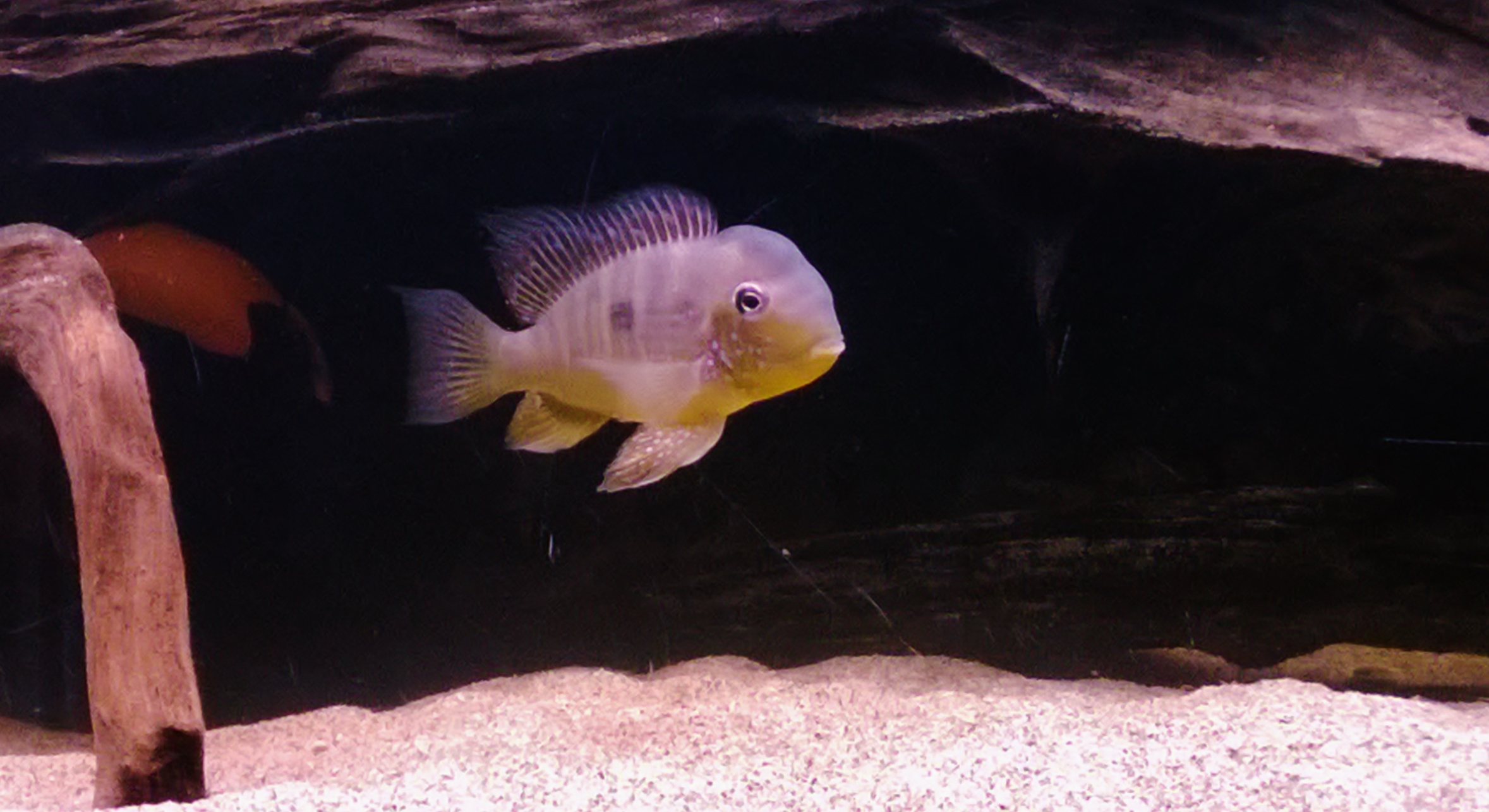 WP_20131108_006.jpg