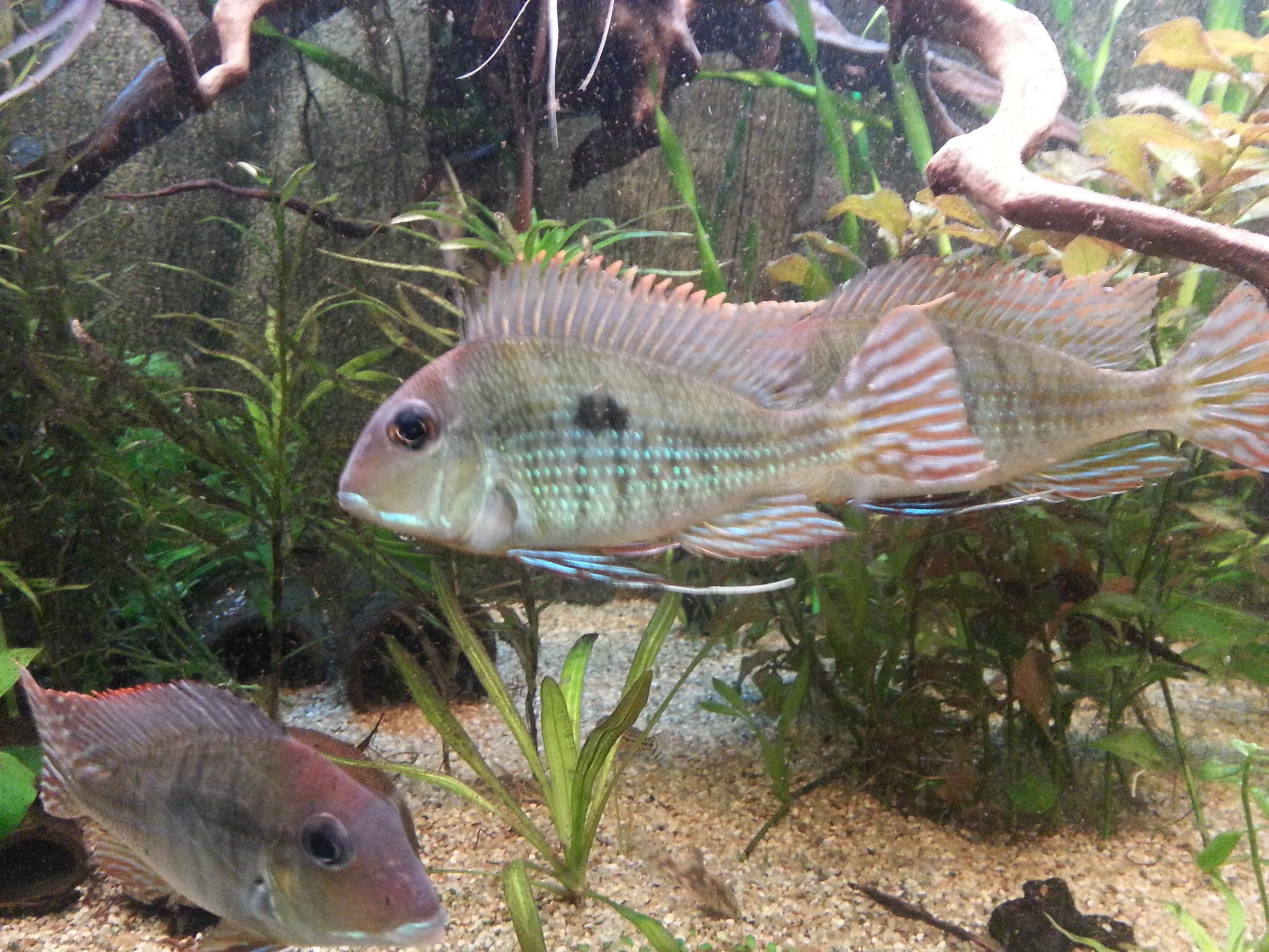 20131124_161803.jpg