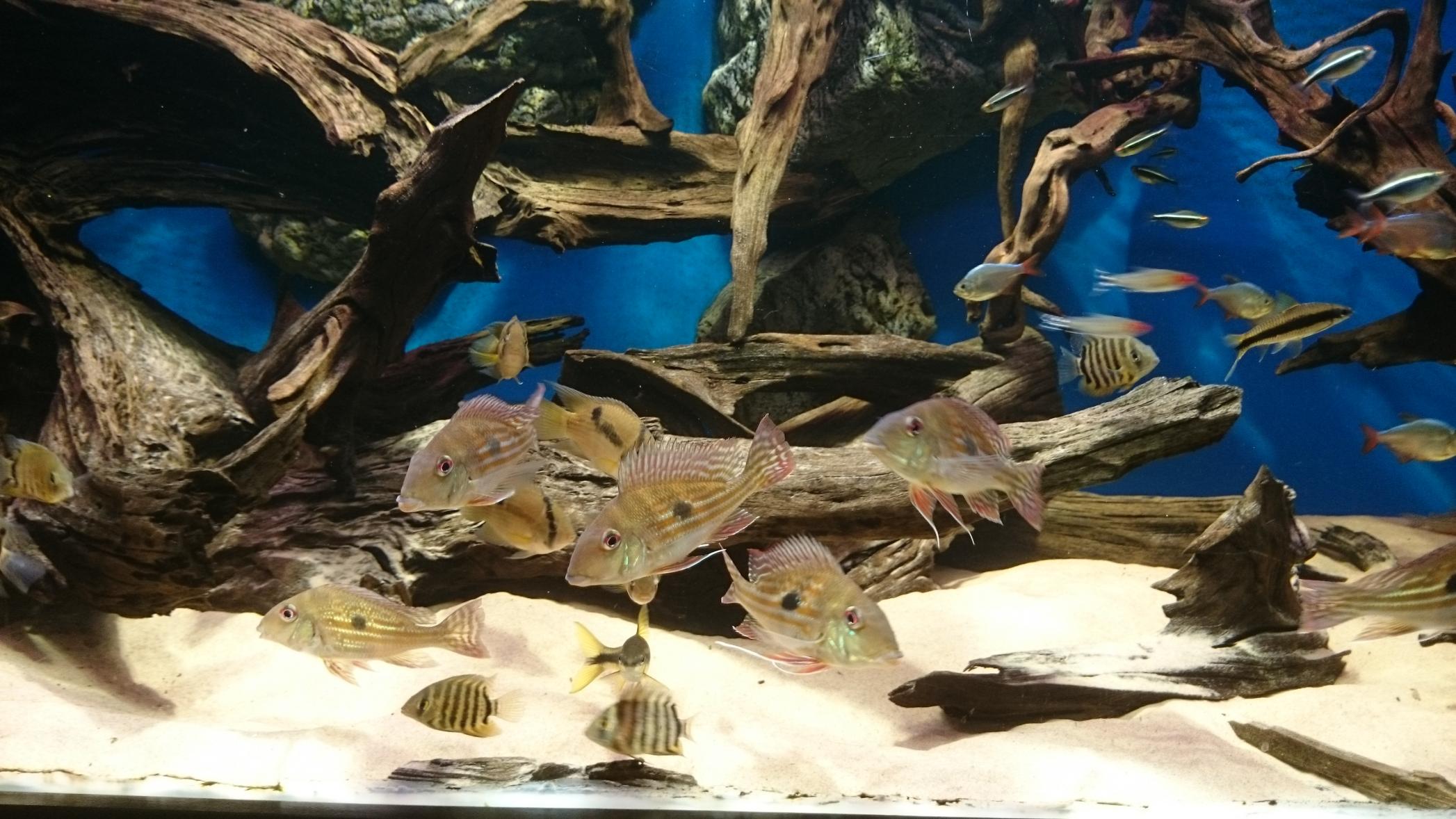 DSC_1763.jpg