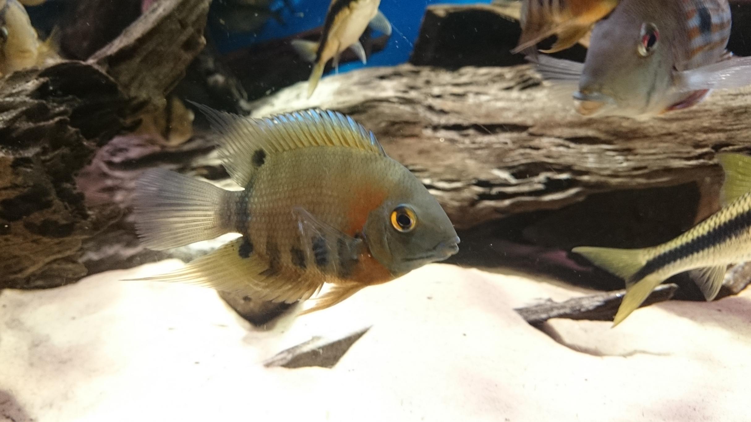 DSC_1859.jpg