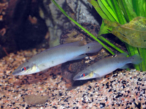 DSC_0127.JPG