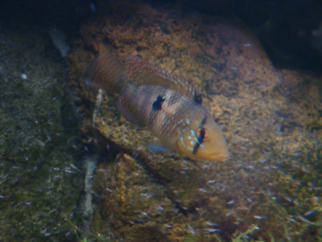 DSC01313.JPG