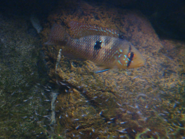DSC01314.JPG