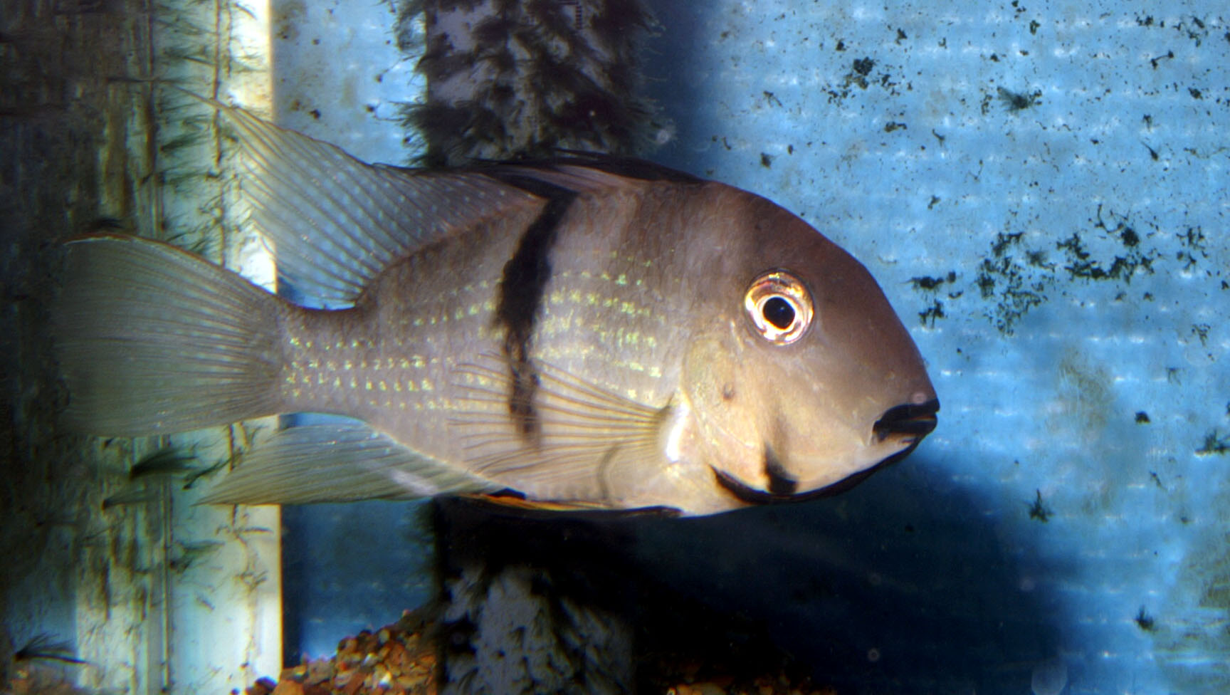 G. cf.owroewefri.jpg