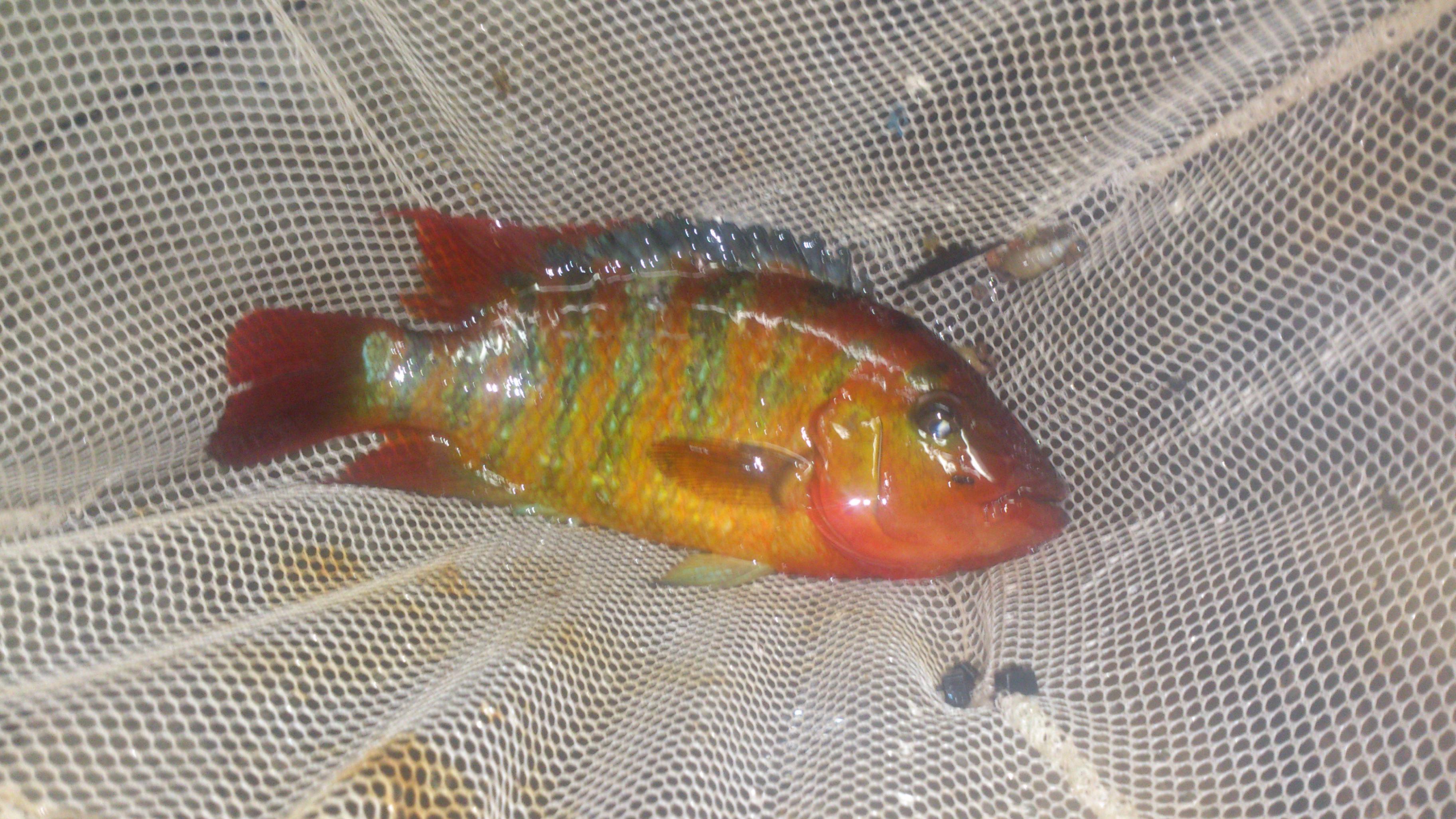 DSC_0008.jpg